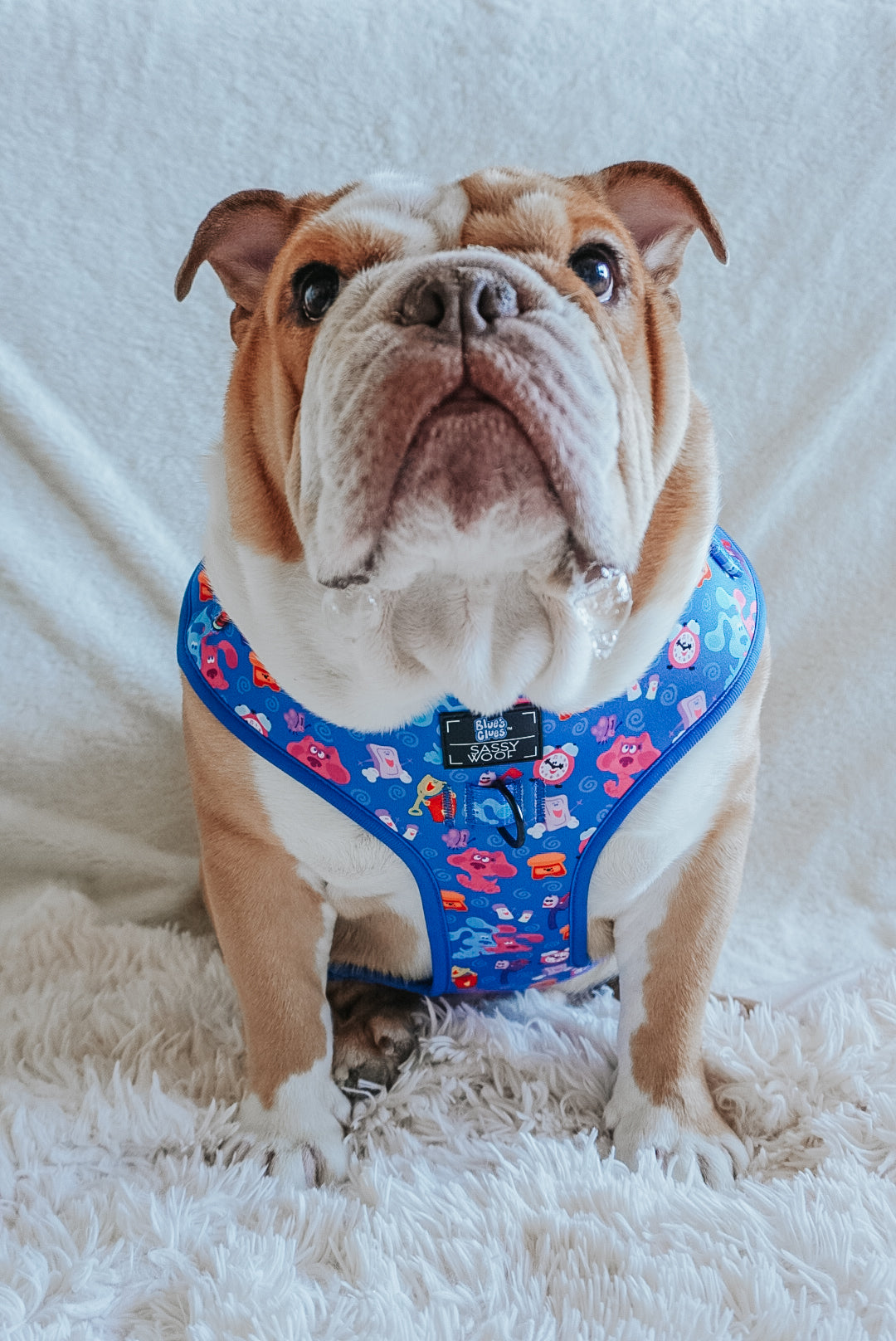 Dog Adjustable Harness - Blues Clues™
