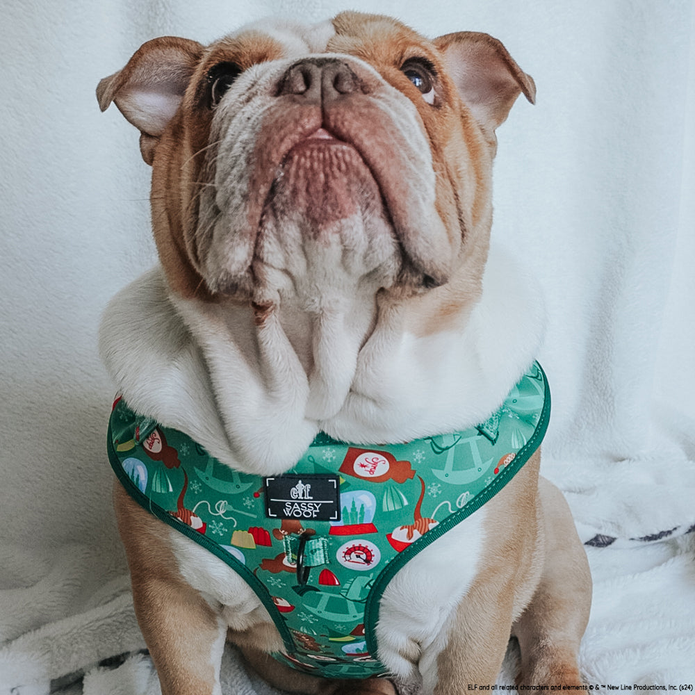Dog Adjustable Harness - Elf™