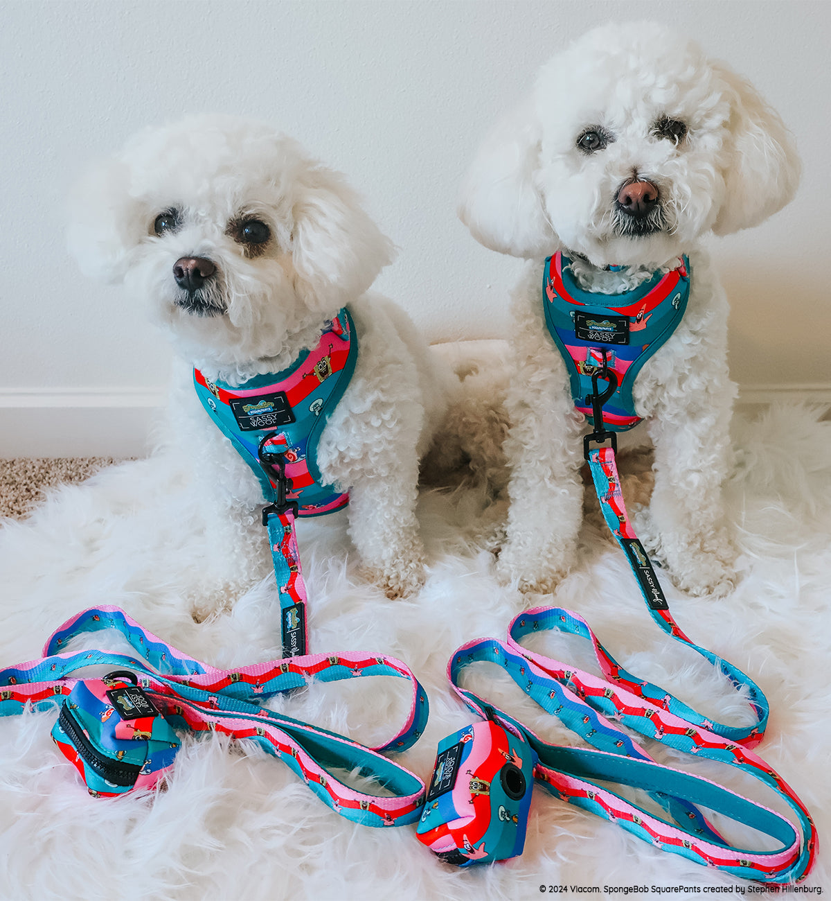 Dog Leash - SpongeBob SquarePants™ and Friends