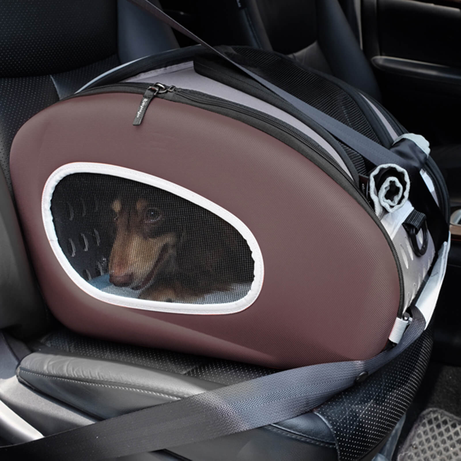 5-in-1 Combo EVA Pet Carrier Stroller Backpack