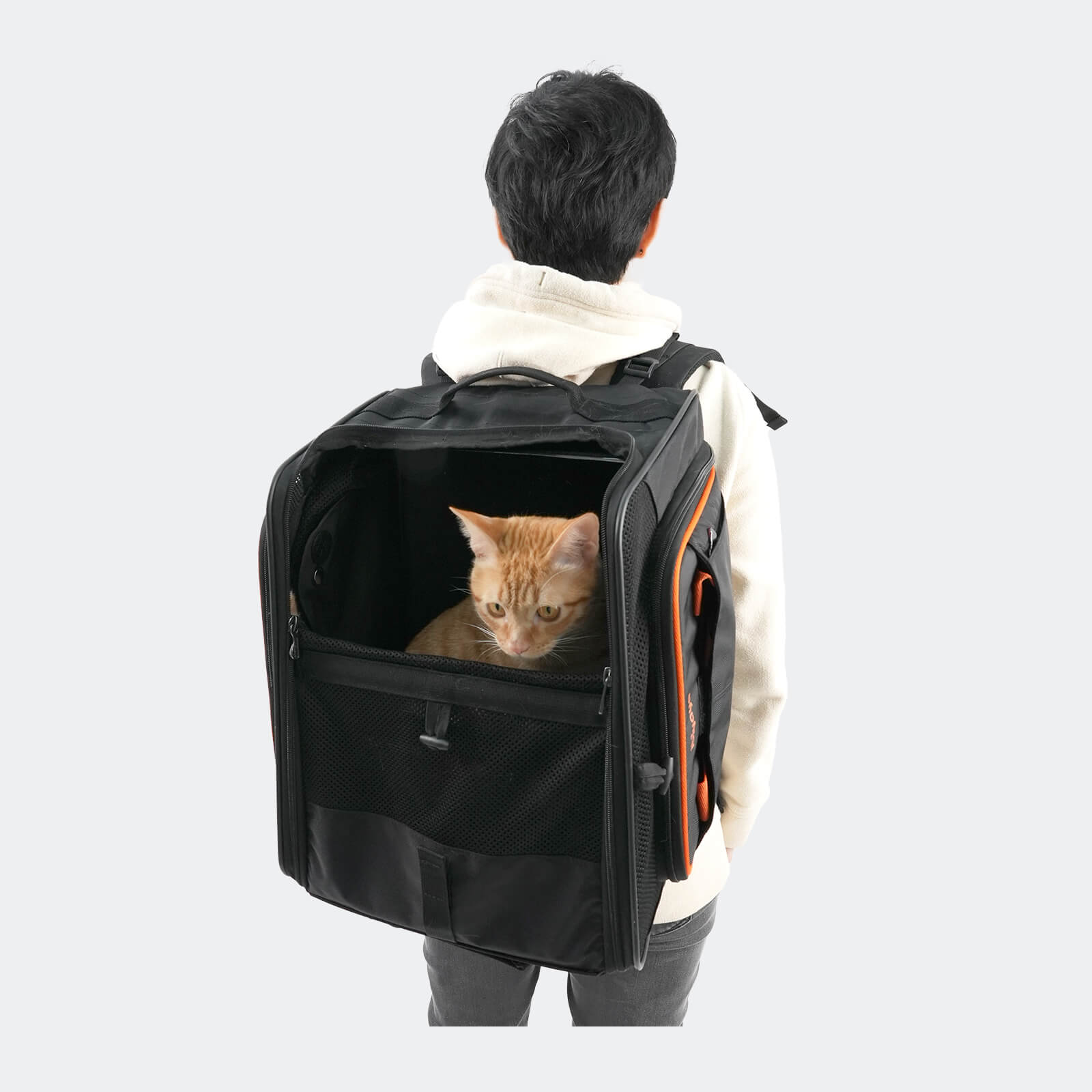 ibiyaya JetPaw 3-in-1 Pet Stroller with Detachable Airline-Approved Carrier
