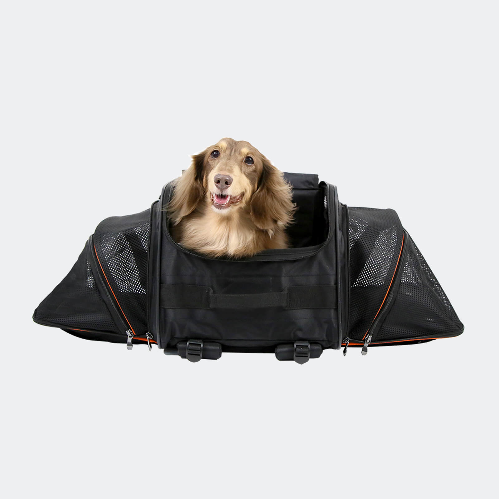 ibiyaya JetPaw 3-in-1 Pet Stroller with Detachable Airline-Approved Carrier
