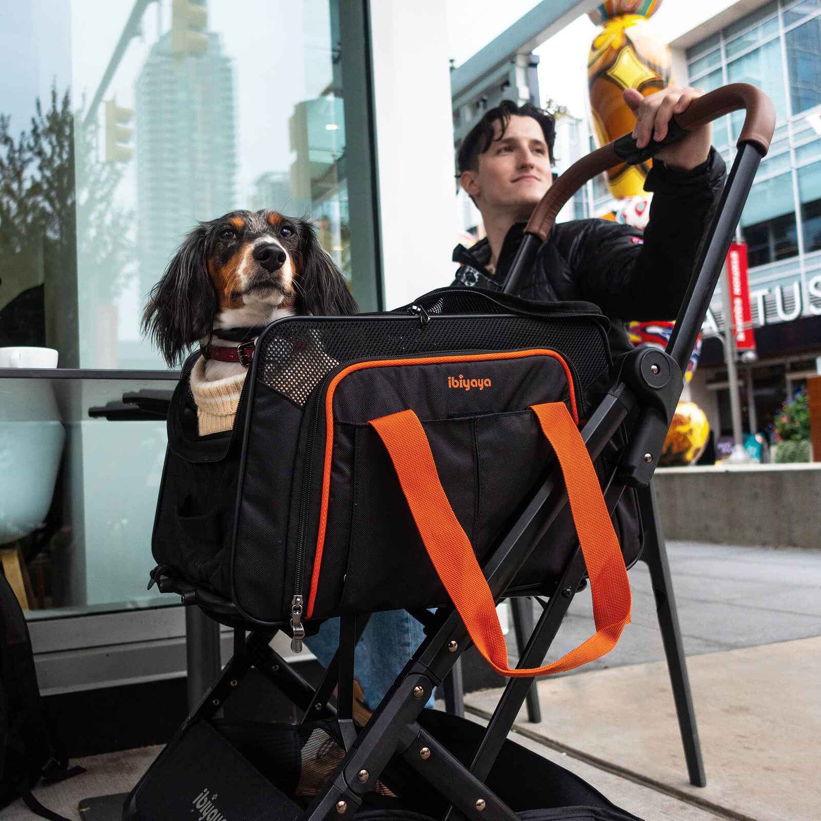 ibiyaya JetPaw 3-in-1 Pet Stroller with Detachable Airline-Approved Carrier