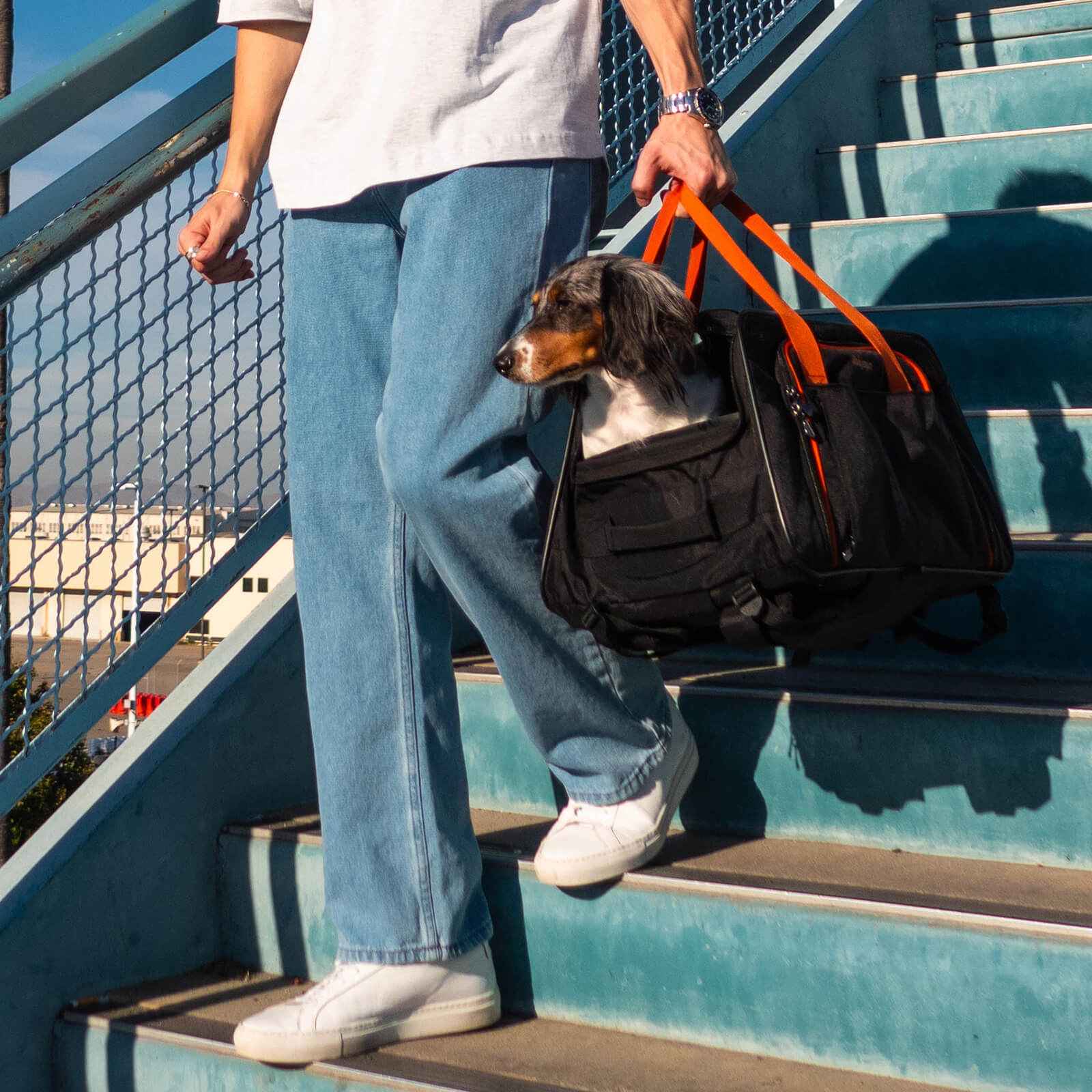 ibiyaya JetPaw 3-in-1 Pet Stroller with Detachable Airline-Approved Carrier