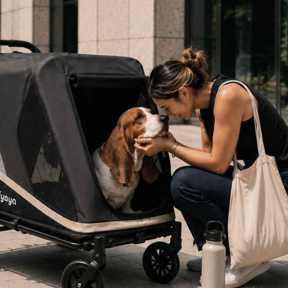 ibiyaya Grand Cruiser Large Dog Stroller, 4-Wheel Dog Pram for Large Breeds, Senior & Injured Pets