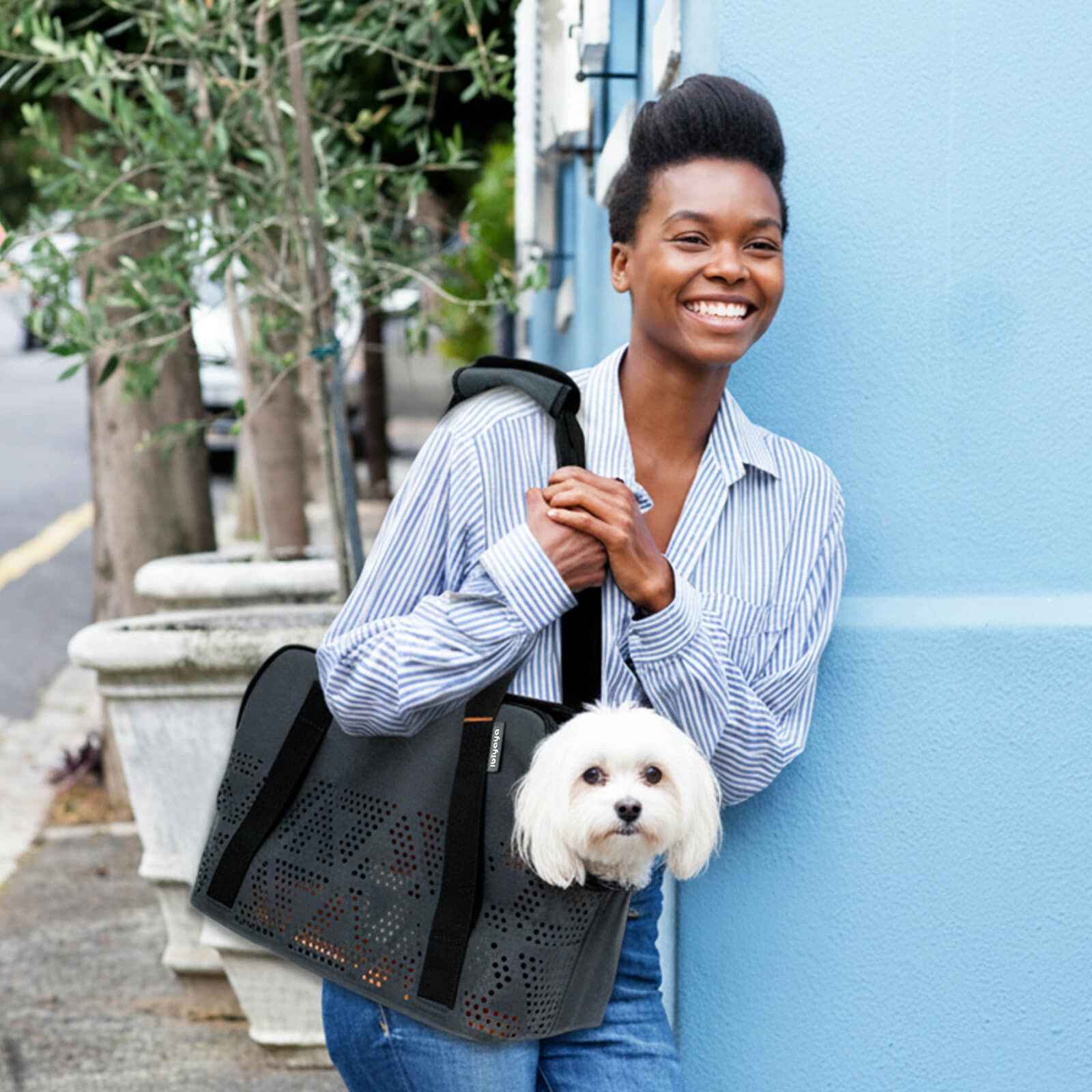 ibiyaya Breezy Wanderer Fur-Free Pet Tote Bag
