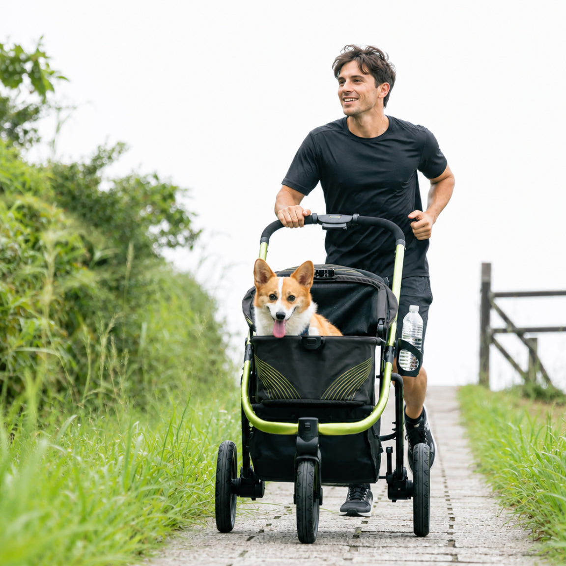 ibiyaya The Beast Pet Jogging Stroller, 3-Wheel All-Terrain Dog and Cat Pram