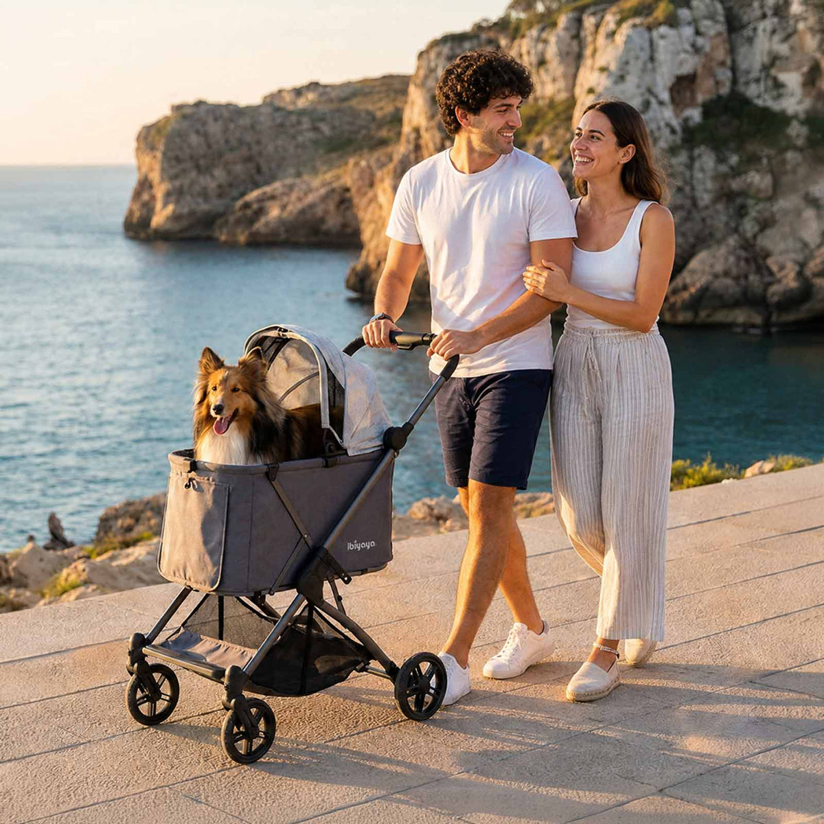 ibiyaya Maxi Deep Carriage Pet Stroller with Puncture-Free EVA-Rubber Wheels