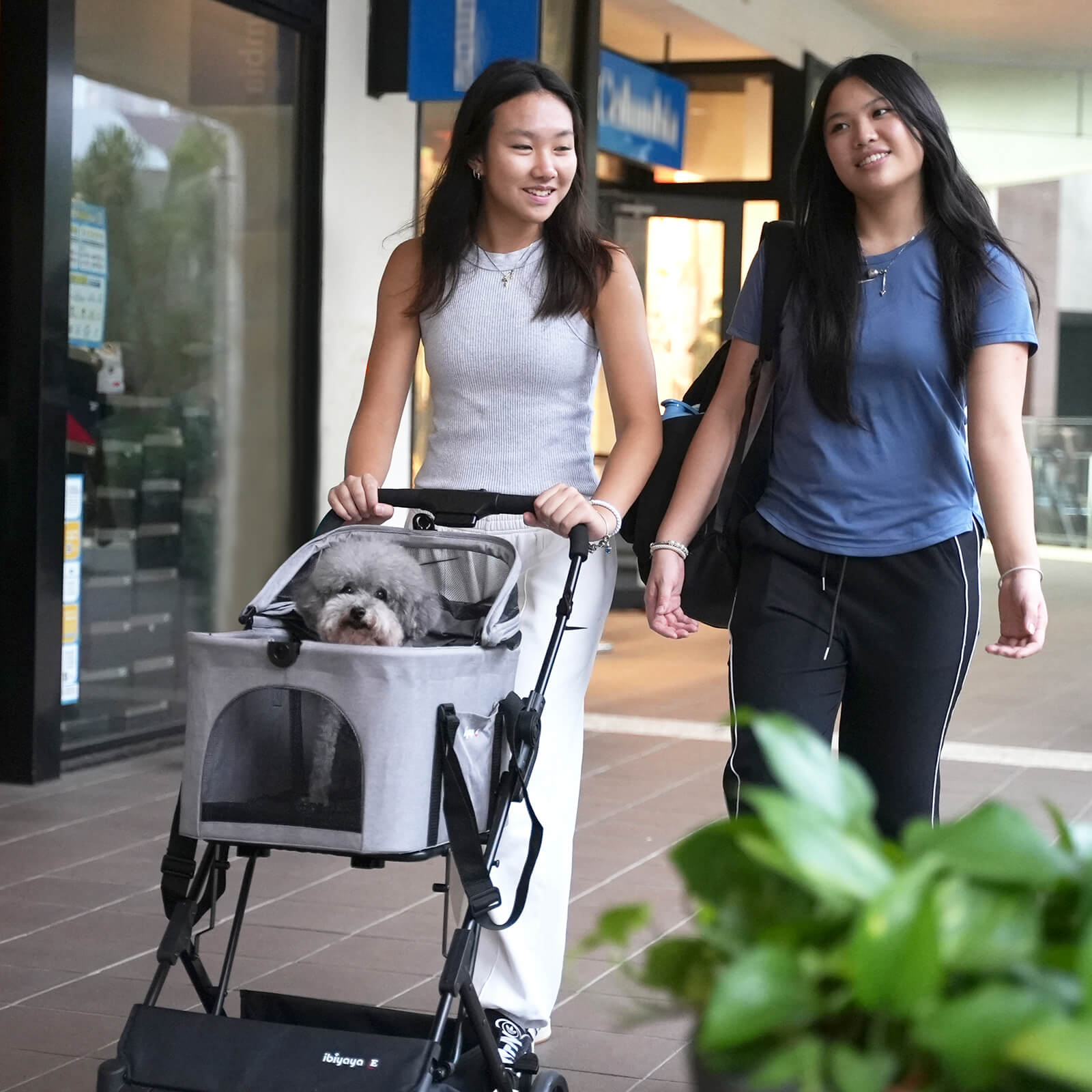 ibiyaya ibiyaya Essential Travois Tri-fold Pet Travel System XL, Pet Stroller with Detachable Carrier