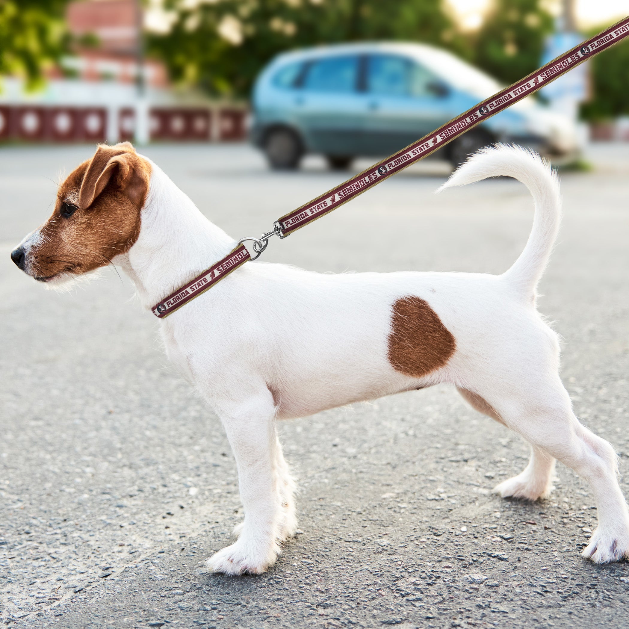 FLORIDA STATE SATIN LEASH