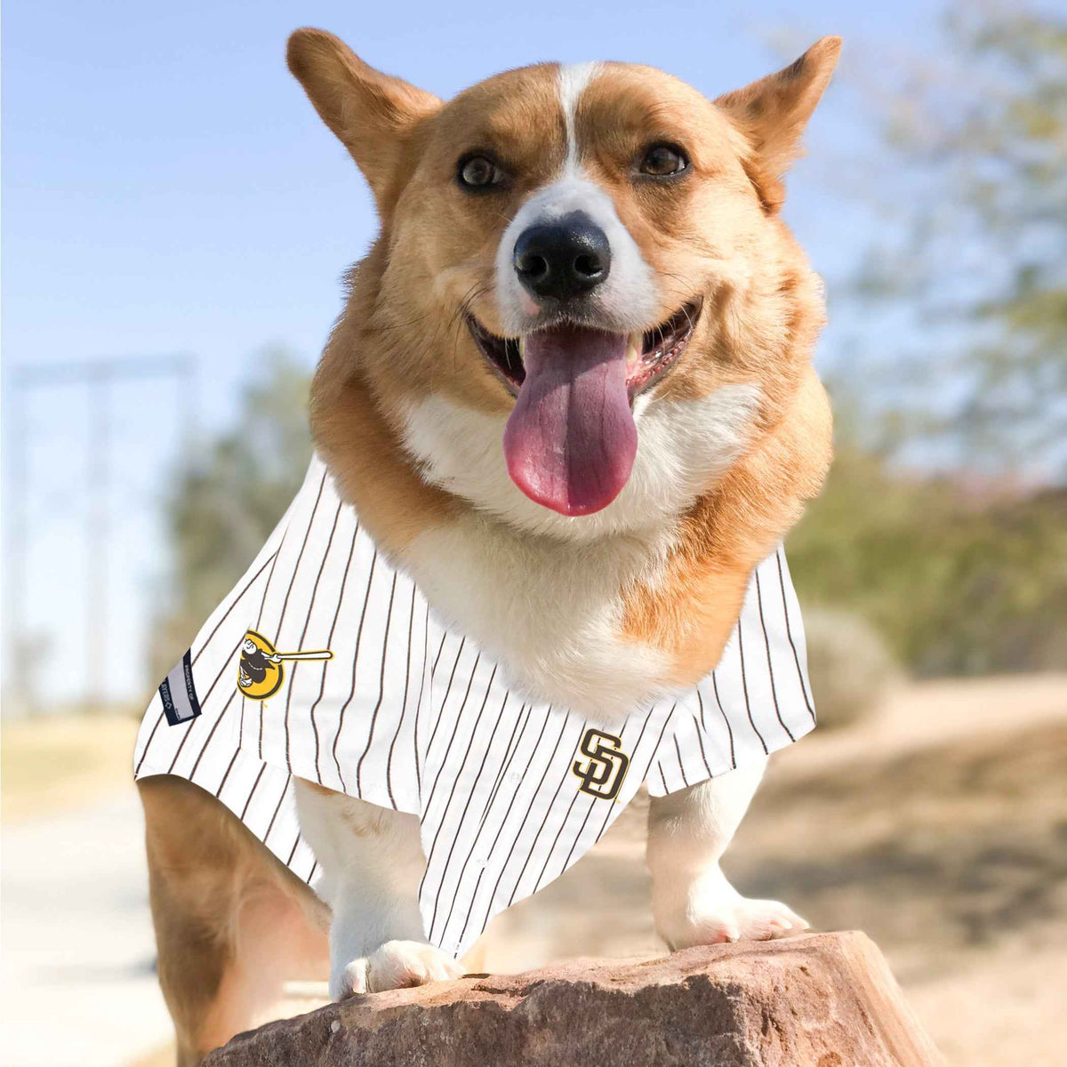 MLB San Diego Padres Fernando Tatis Jr. Mesh Pet Jersey