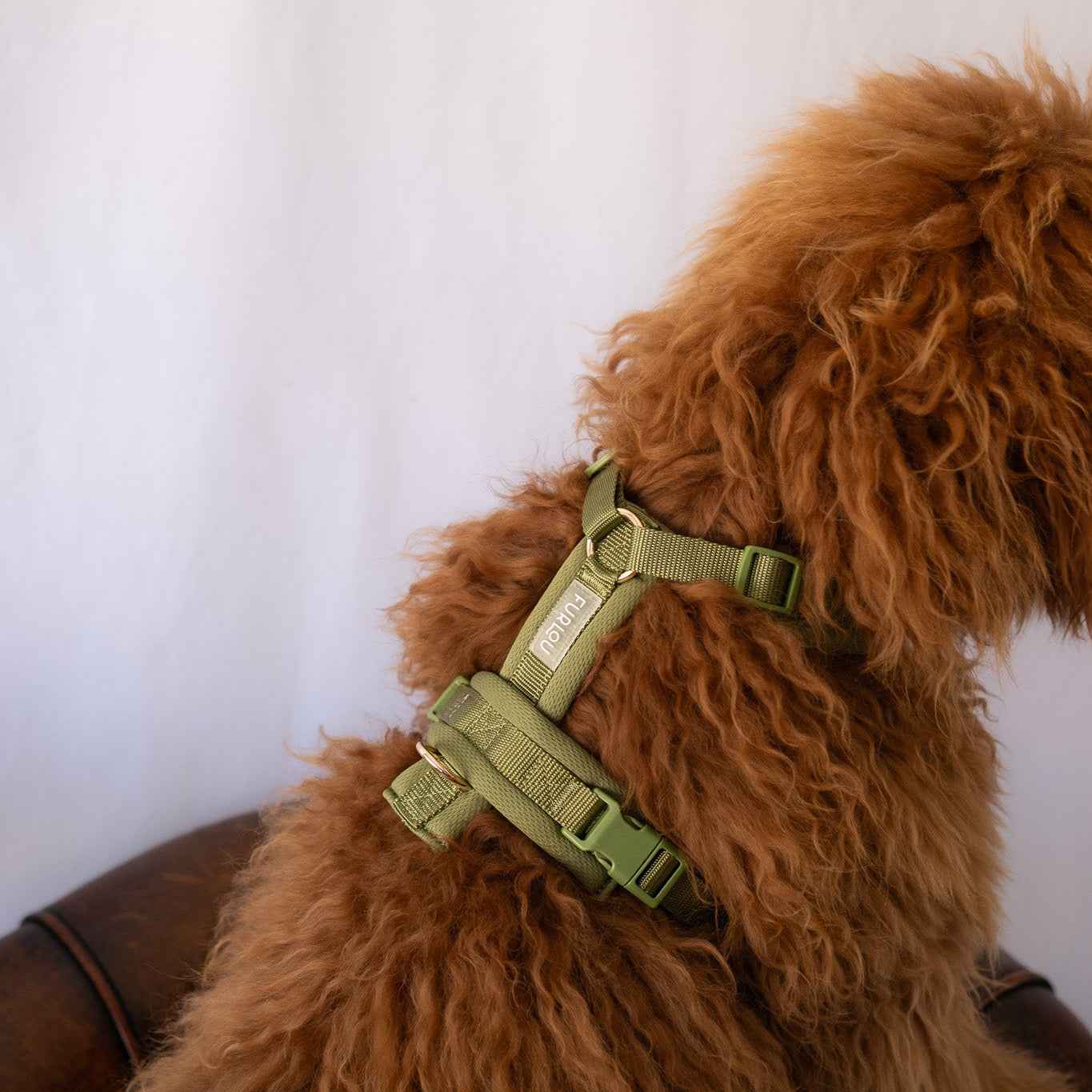 Green - Comfort Dog Harness