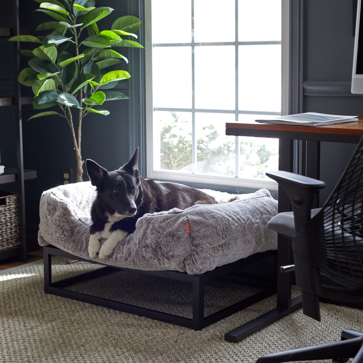 The FUZI Elevated Dog Bed