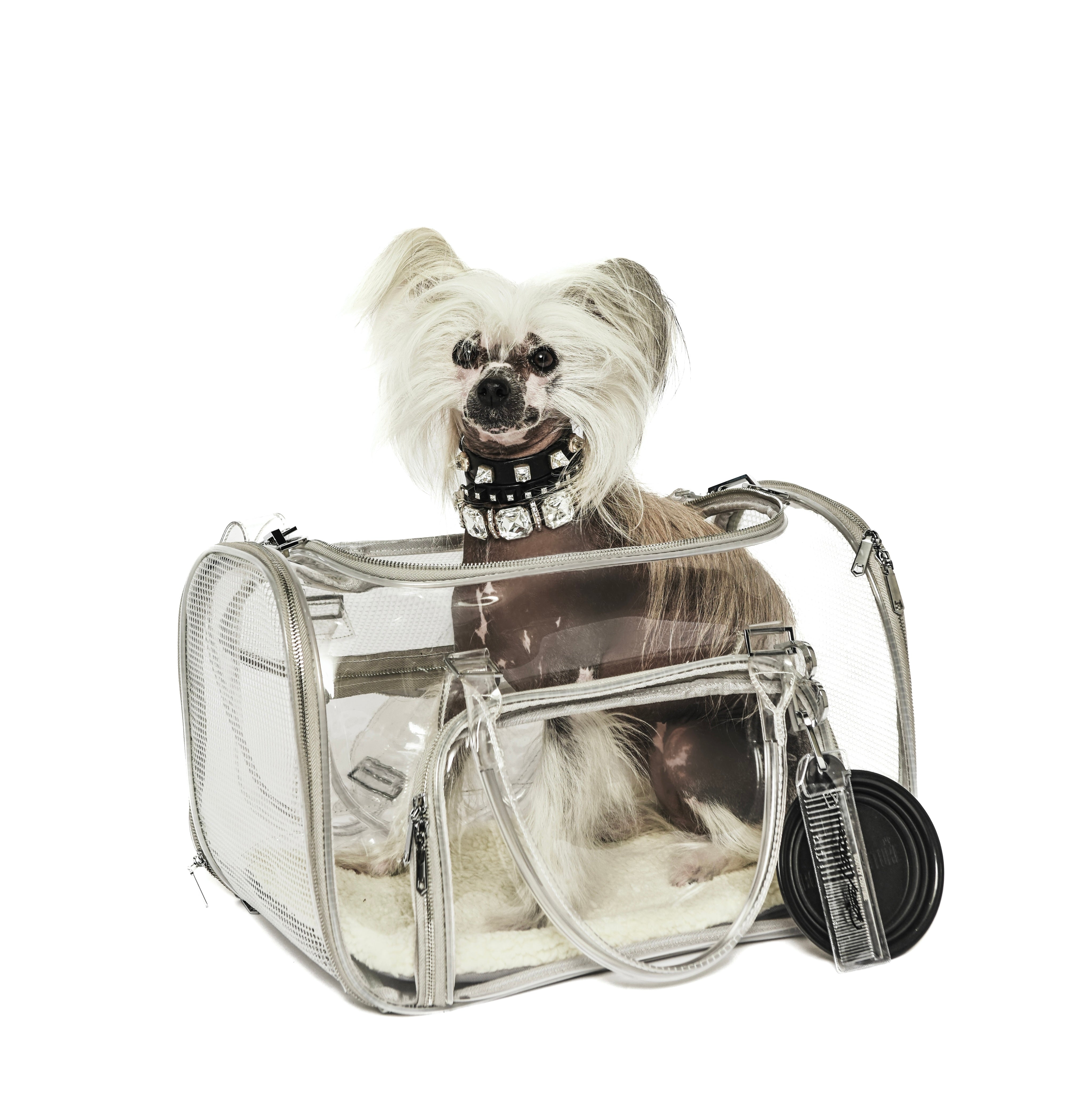 ON THE WAY DISPLAY - PET CARRY-ON BAG
