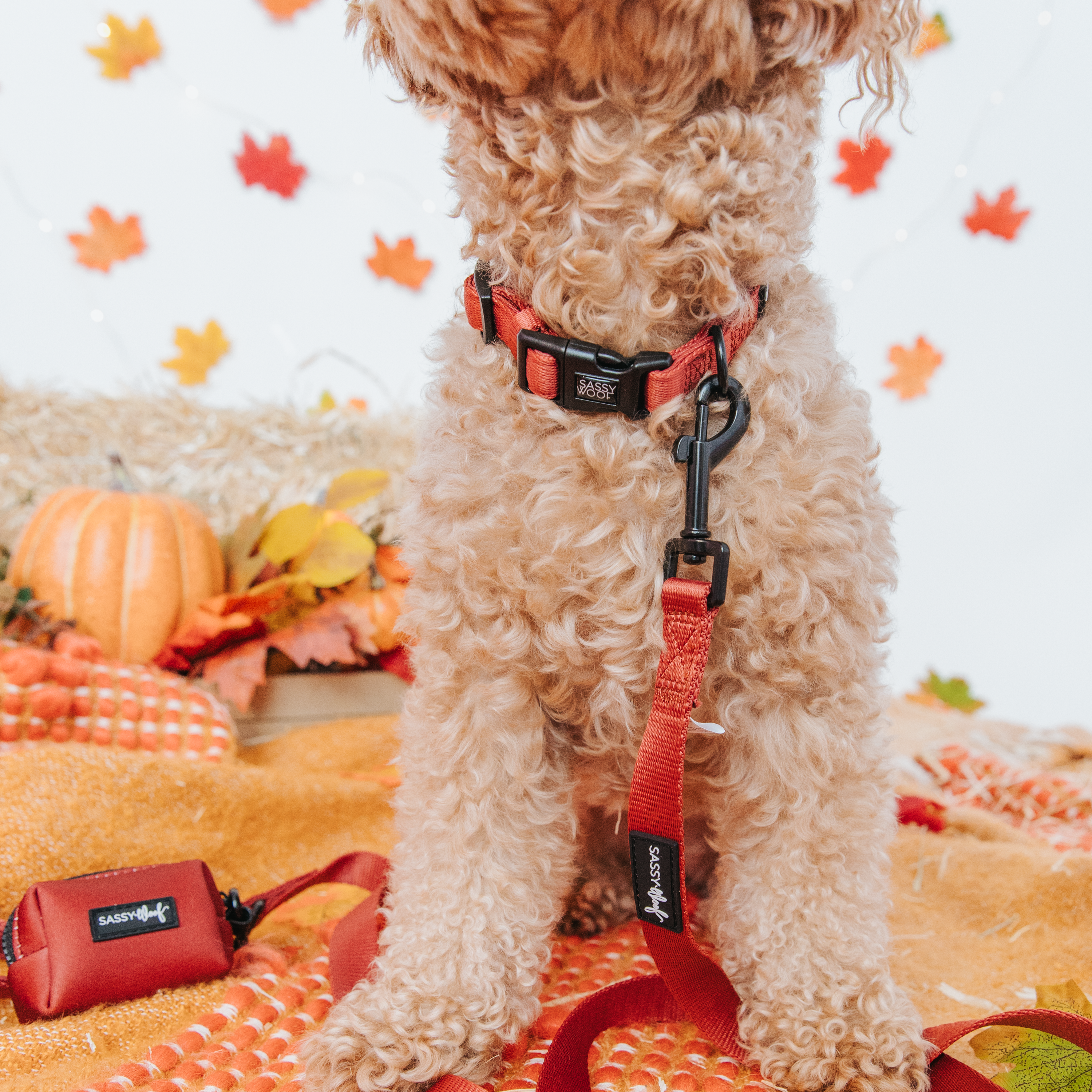Dog Leash - Burgundy
