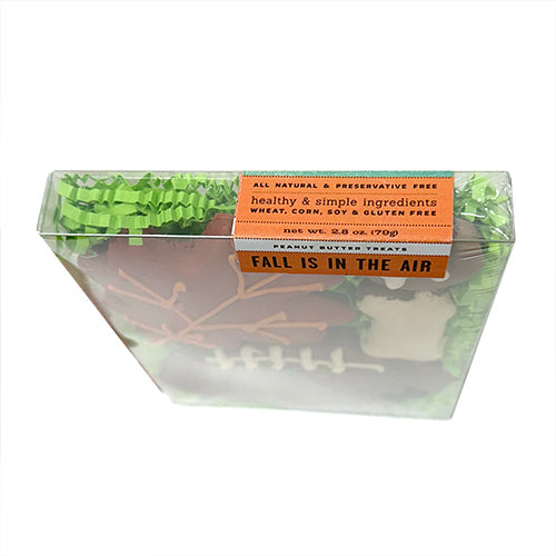 Fall is in the Air Box