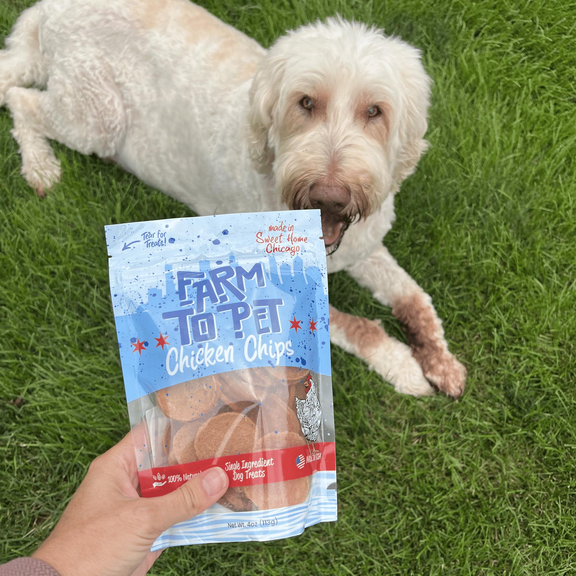 Farm To Pet Chicago Chicken Chips Dog Treats
