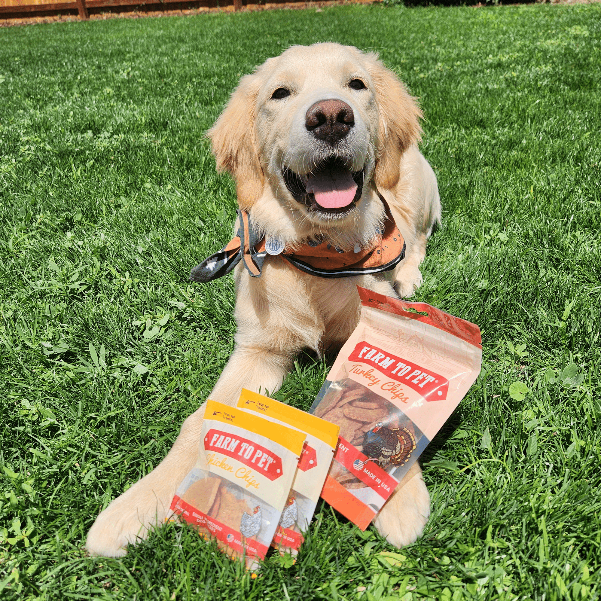 Farm To Pet Puppy Packs n Snacks Dog Treat Starter Pack