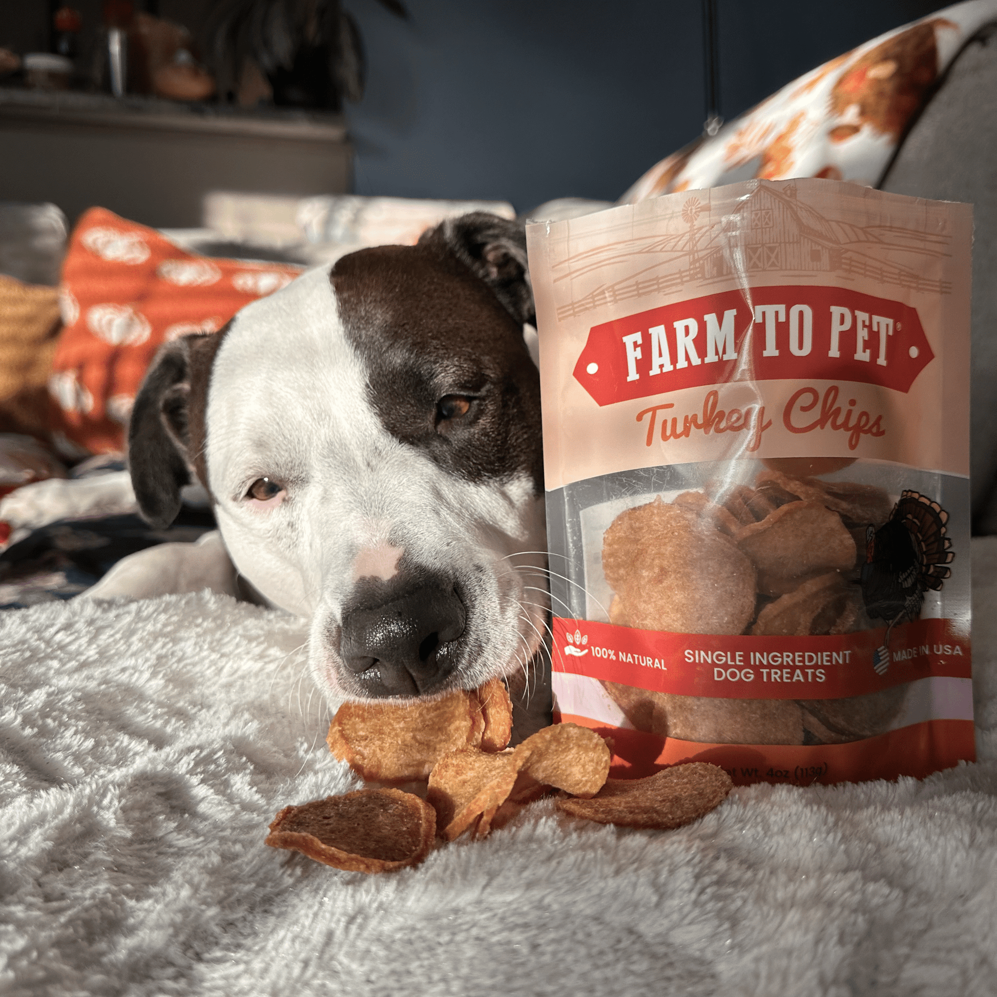 Farm To Pet Turkey Chips Dog Treats