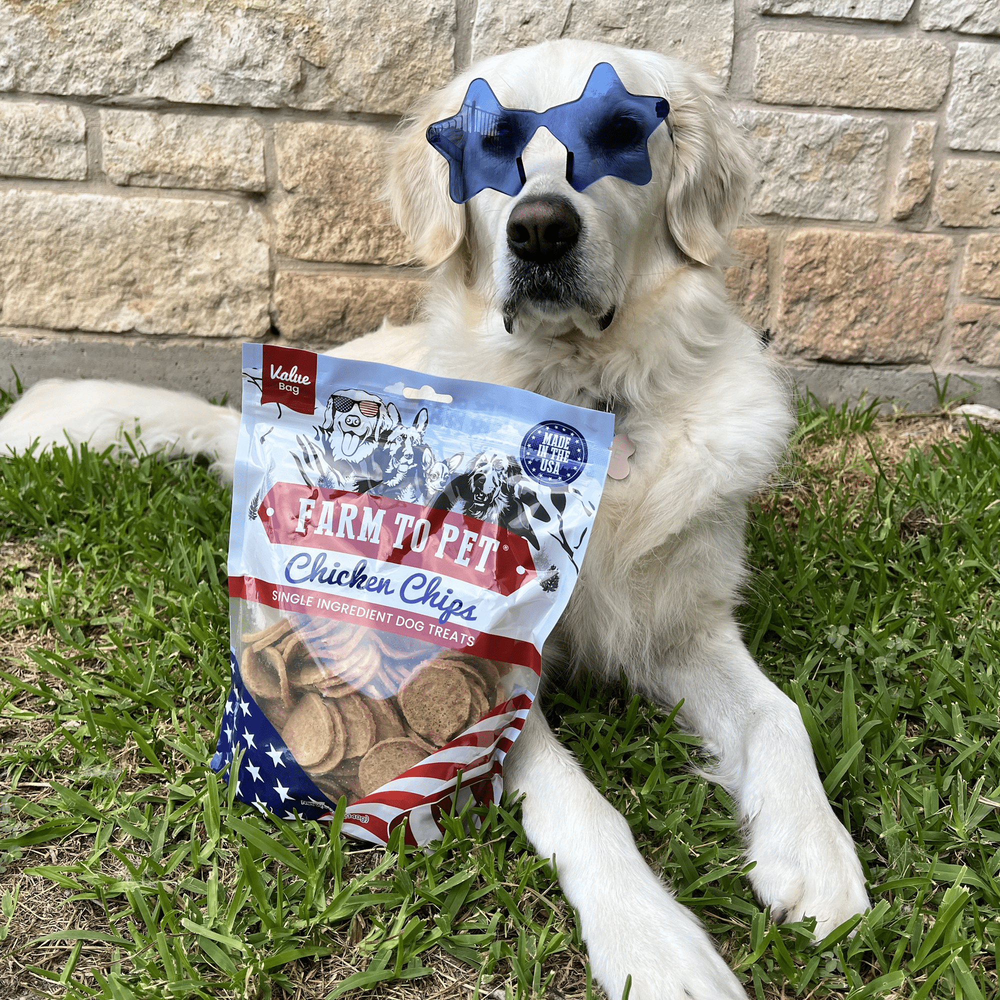 Farm To Pet Americana Chicken Chips Dog Treats