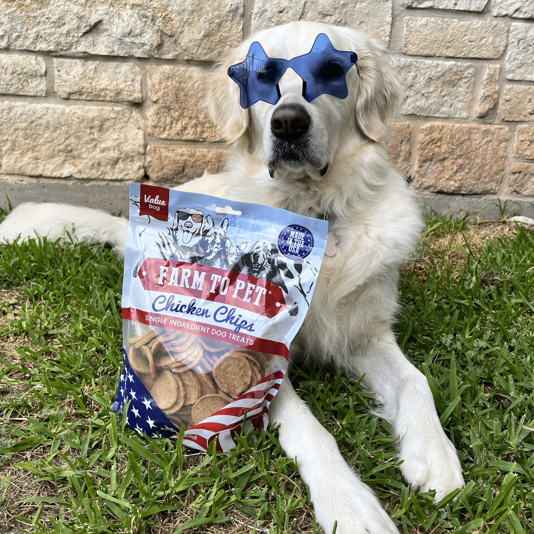 Farm To Pet Americana Chicken Chips Dog Treats