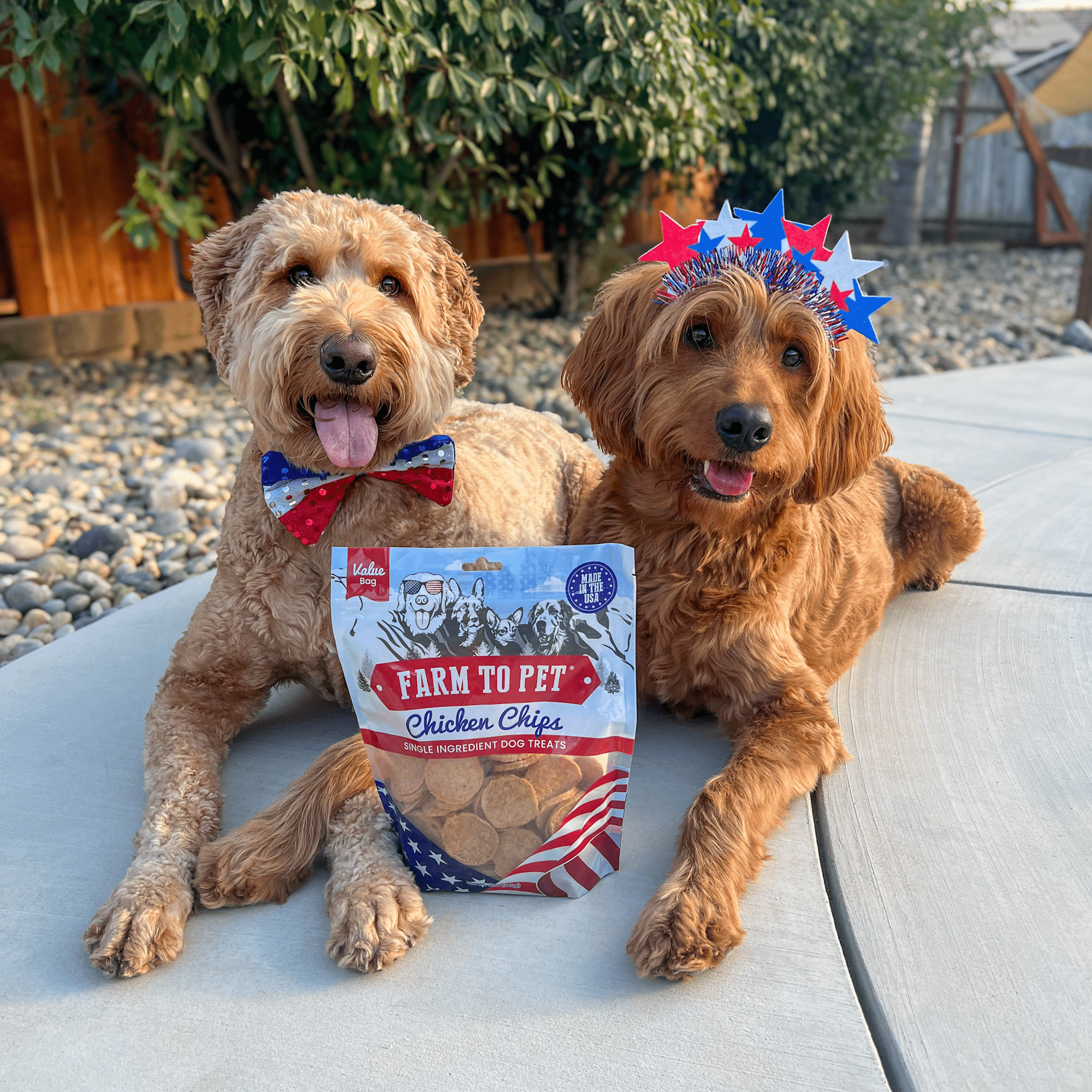 Farm To Pet Americana Chicken Chips Dog Treats