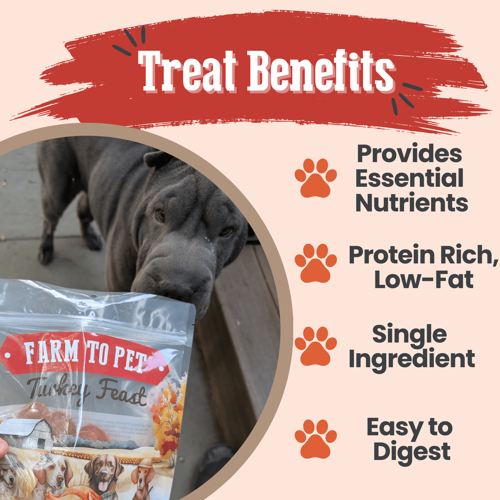 Farm To Pet Turkey Feast Chips Dog Treats