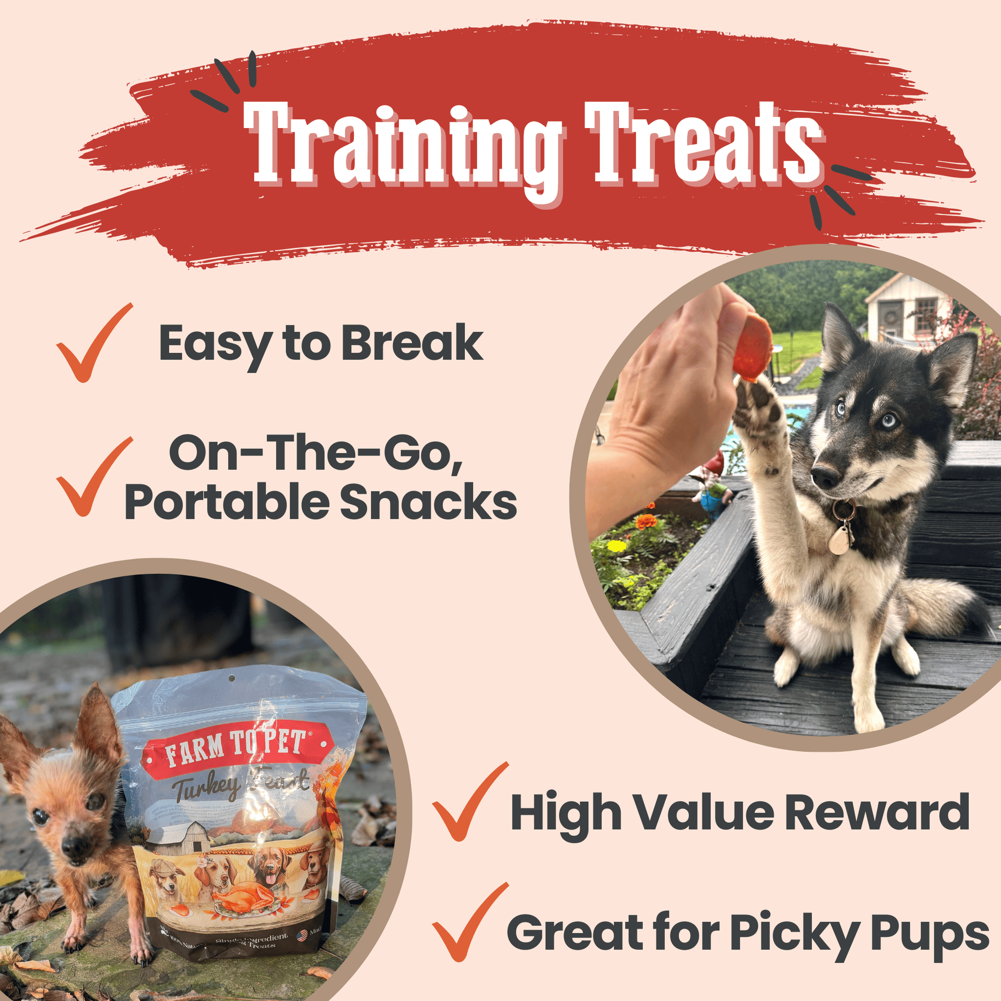 Farm To Pet Turkey Feast Chips Dog Treats