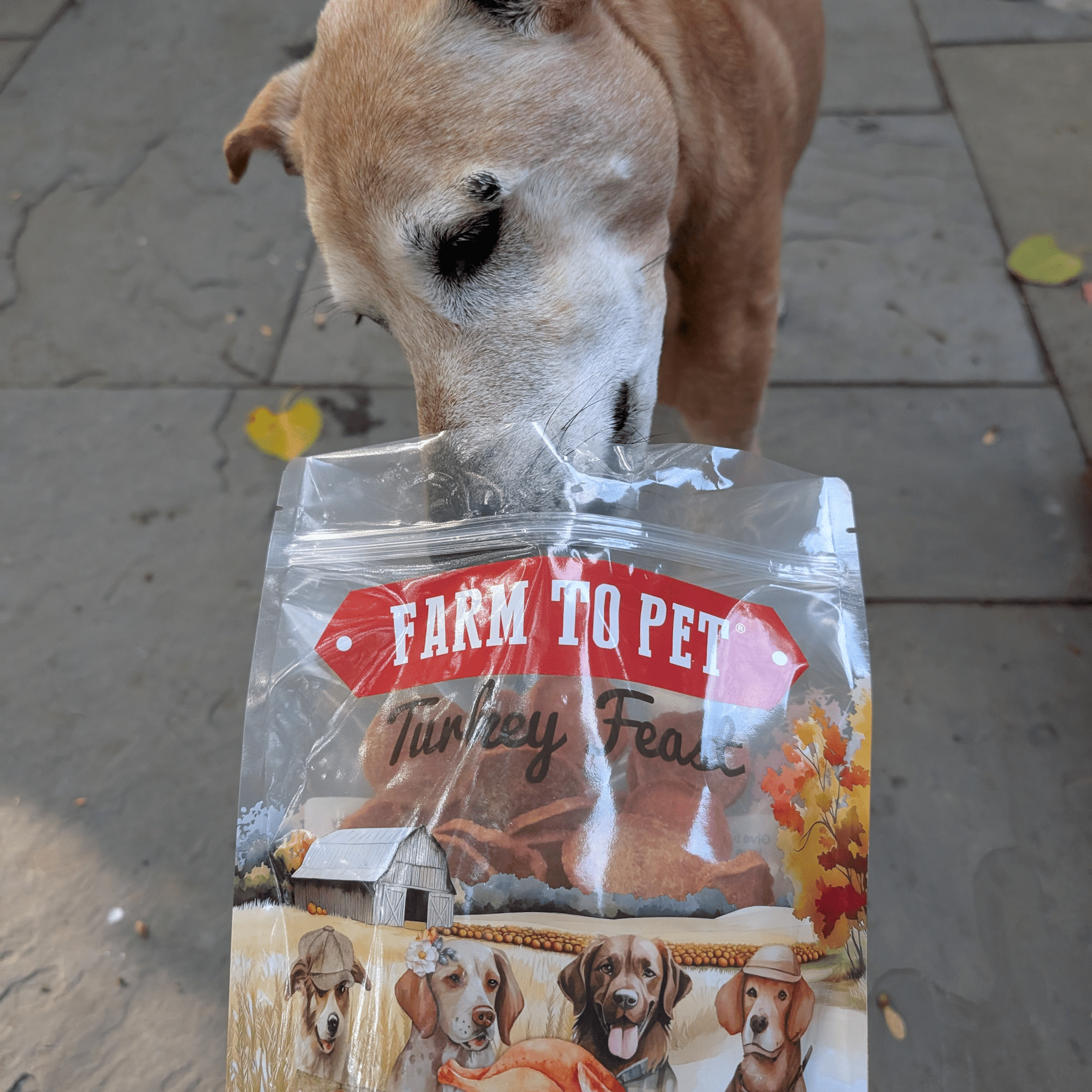 Farm To Pet Turkey Feast Chips Dog Treats