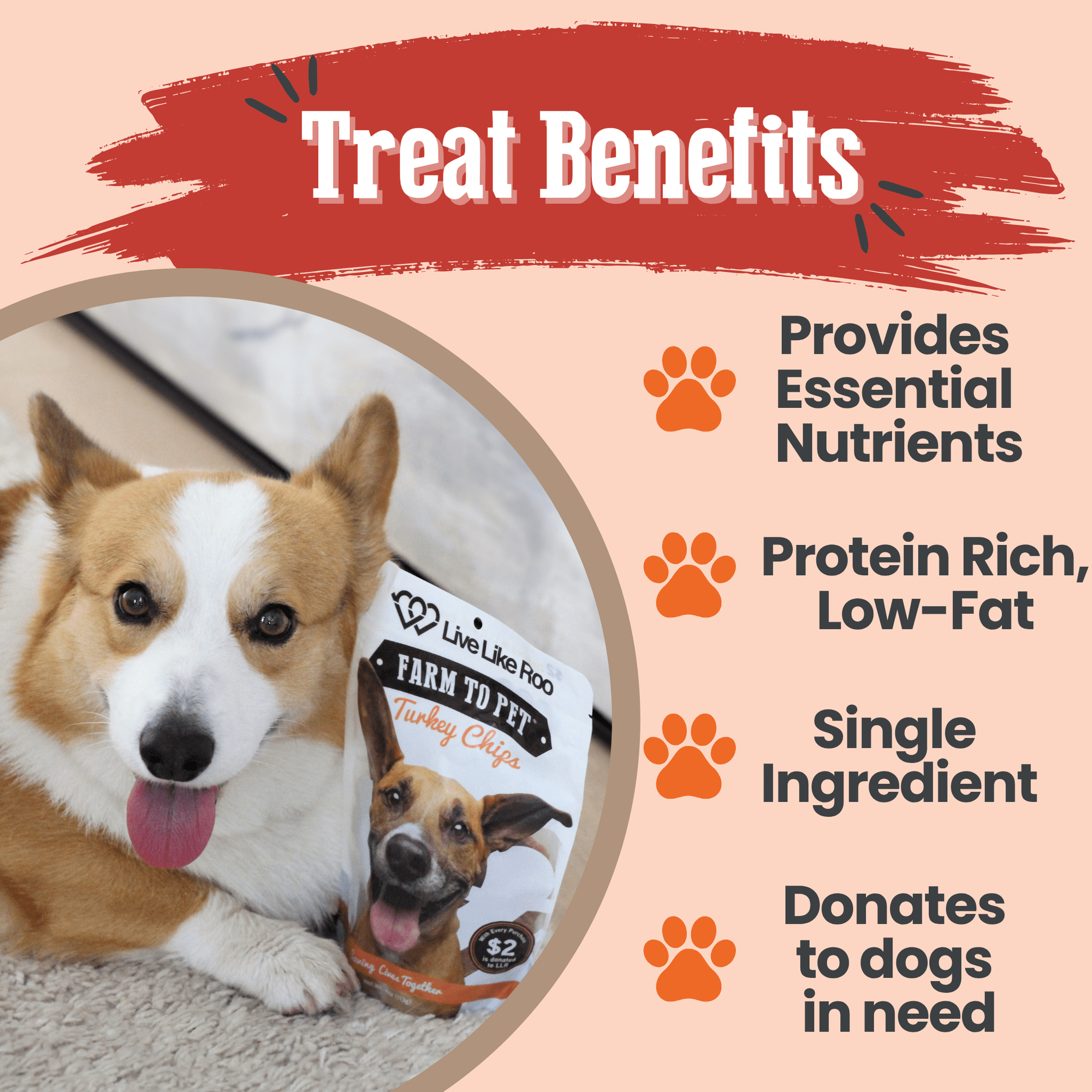Farm To Pet Live Like Roo Turkey Chips Dog Treats