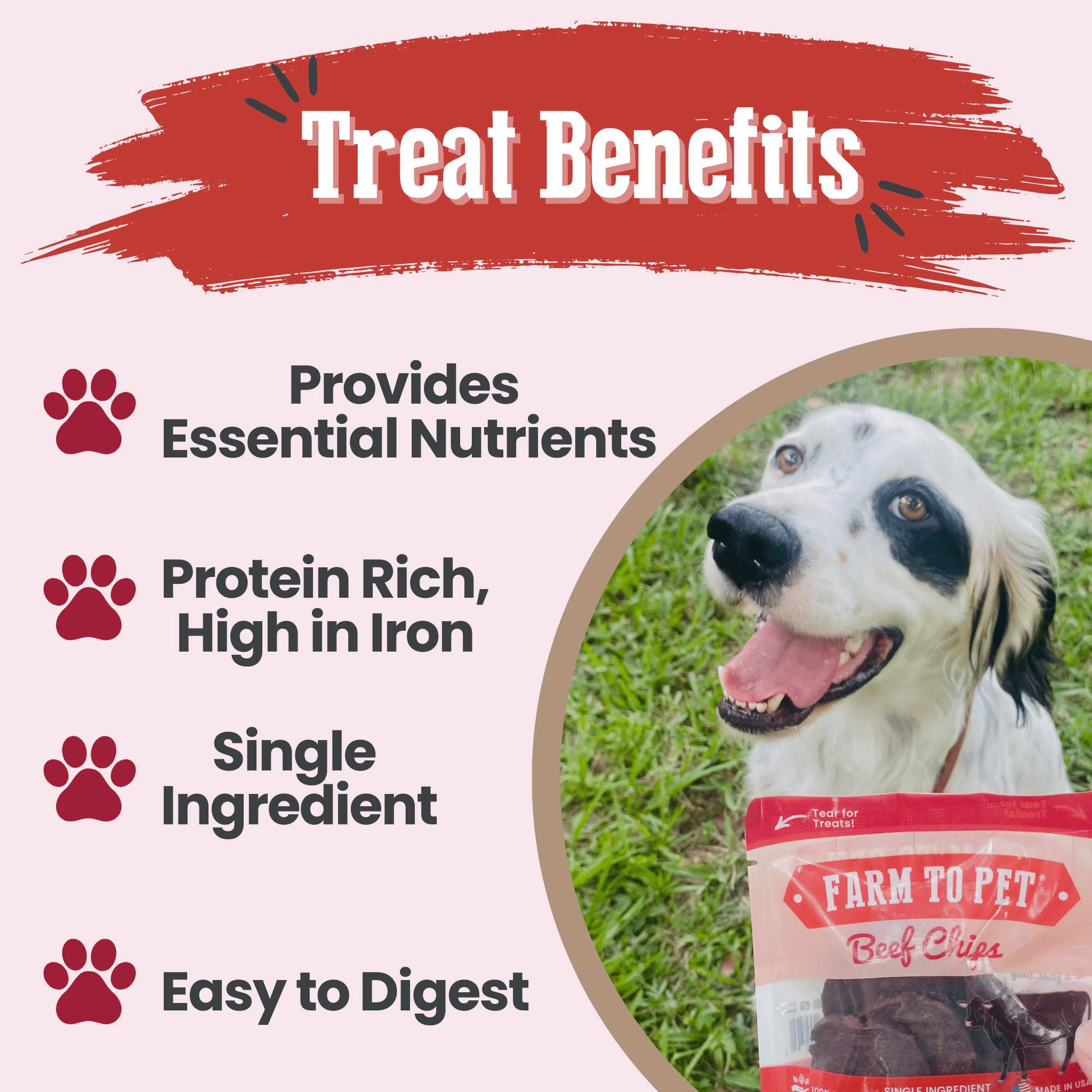 Farm To Pet Beef Chips Dog Treat Snack Pack