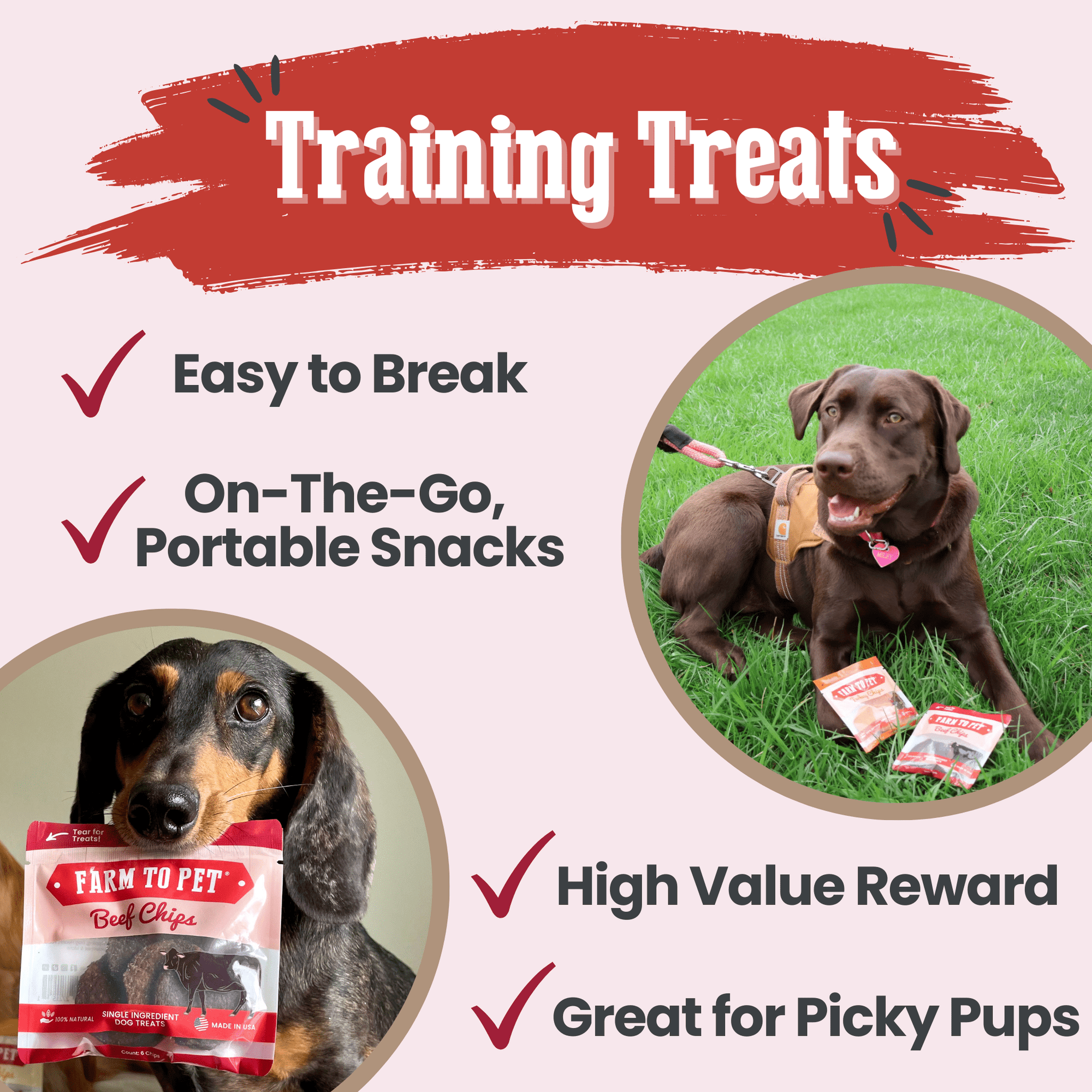 Farm To Pet Beef Chips Dog Treat Snack Pack