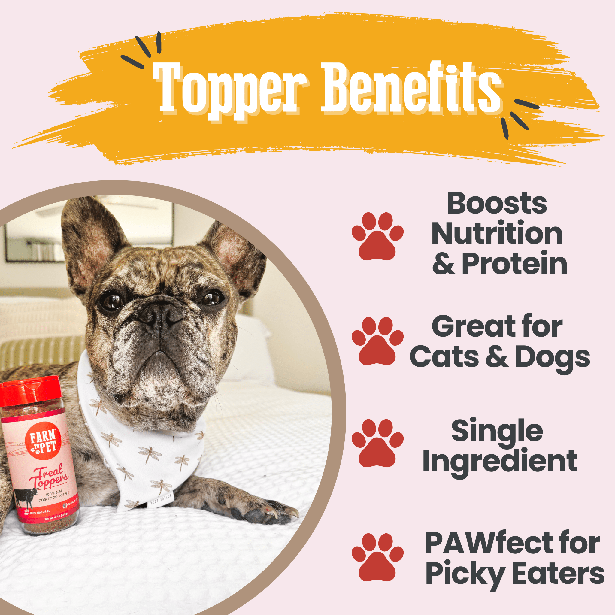 Farm To Pet Beef Treat Topper Dog Food Topper