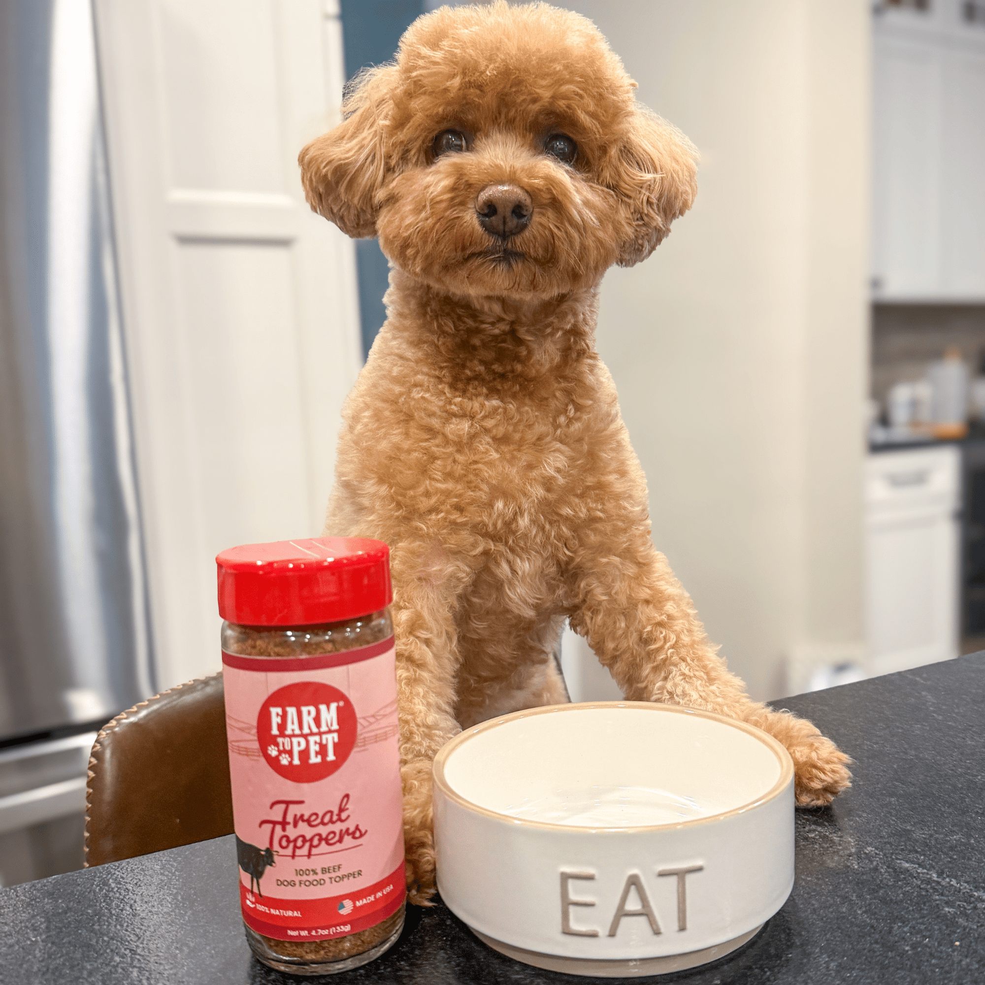 Farm To Pet Beef Treat Topper Dog Food Topper