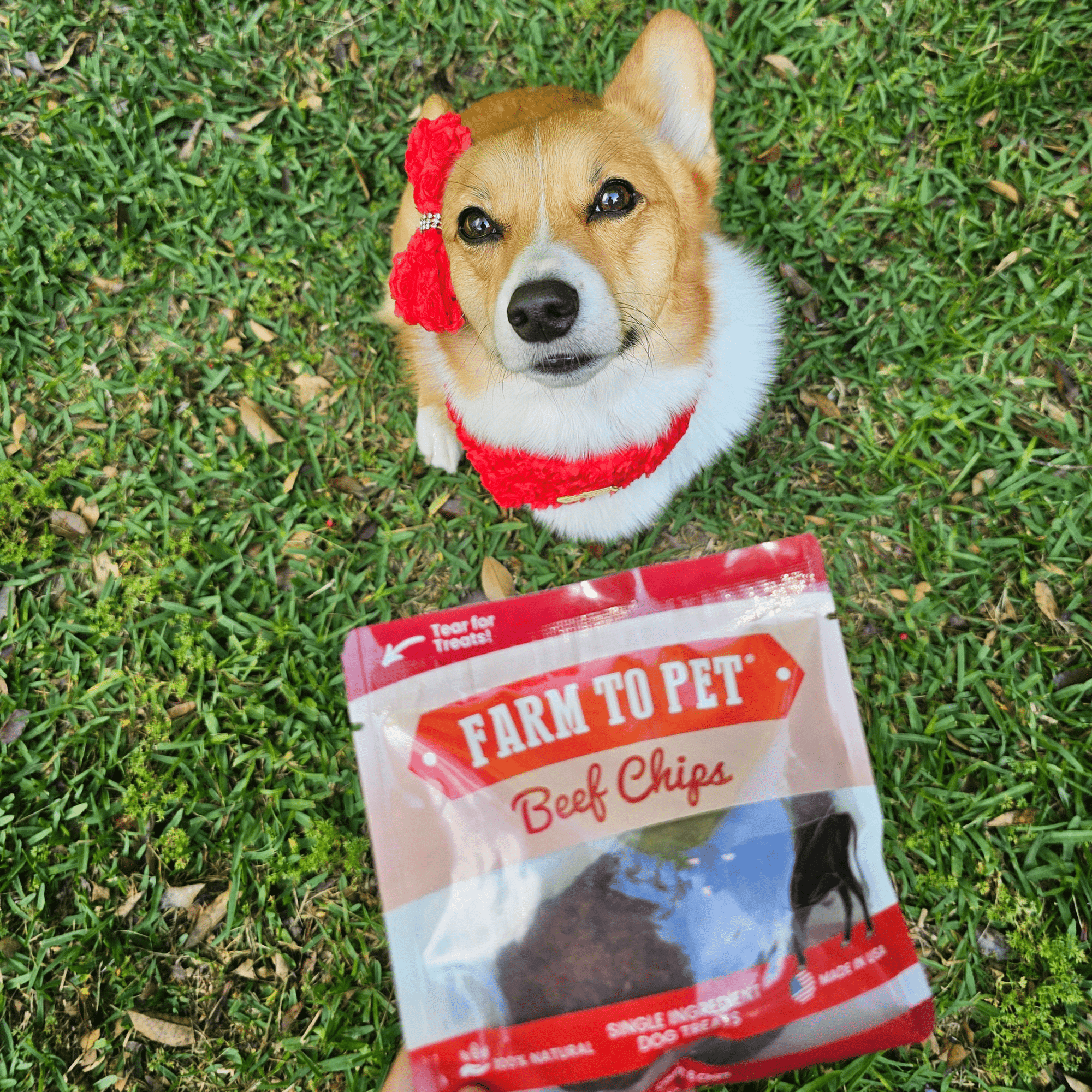 Farm To Pet Beef Chips Dog Treat Snack Pack