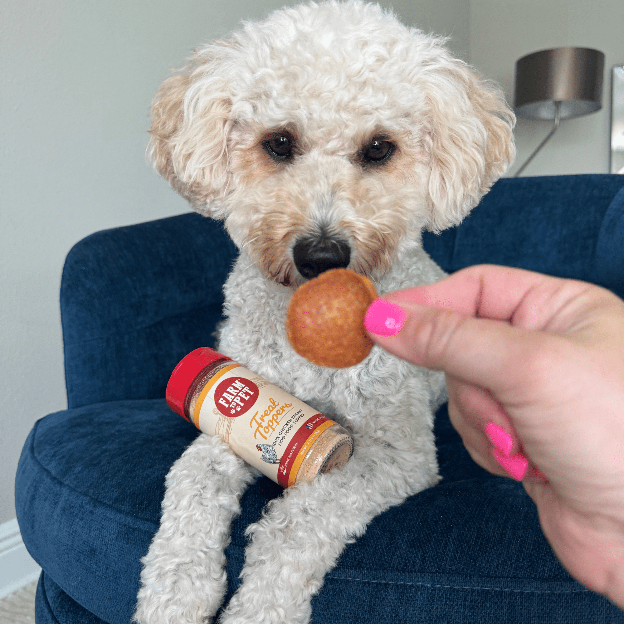 Farm To Pet Chicken Treat Topper Dog Food Topper