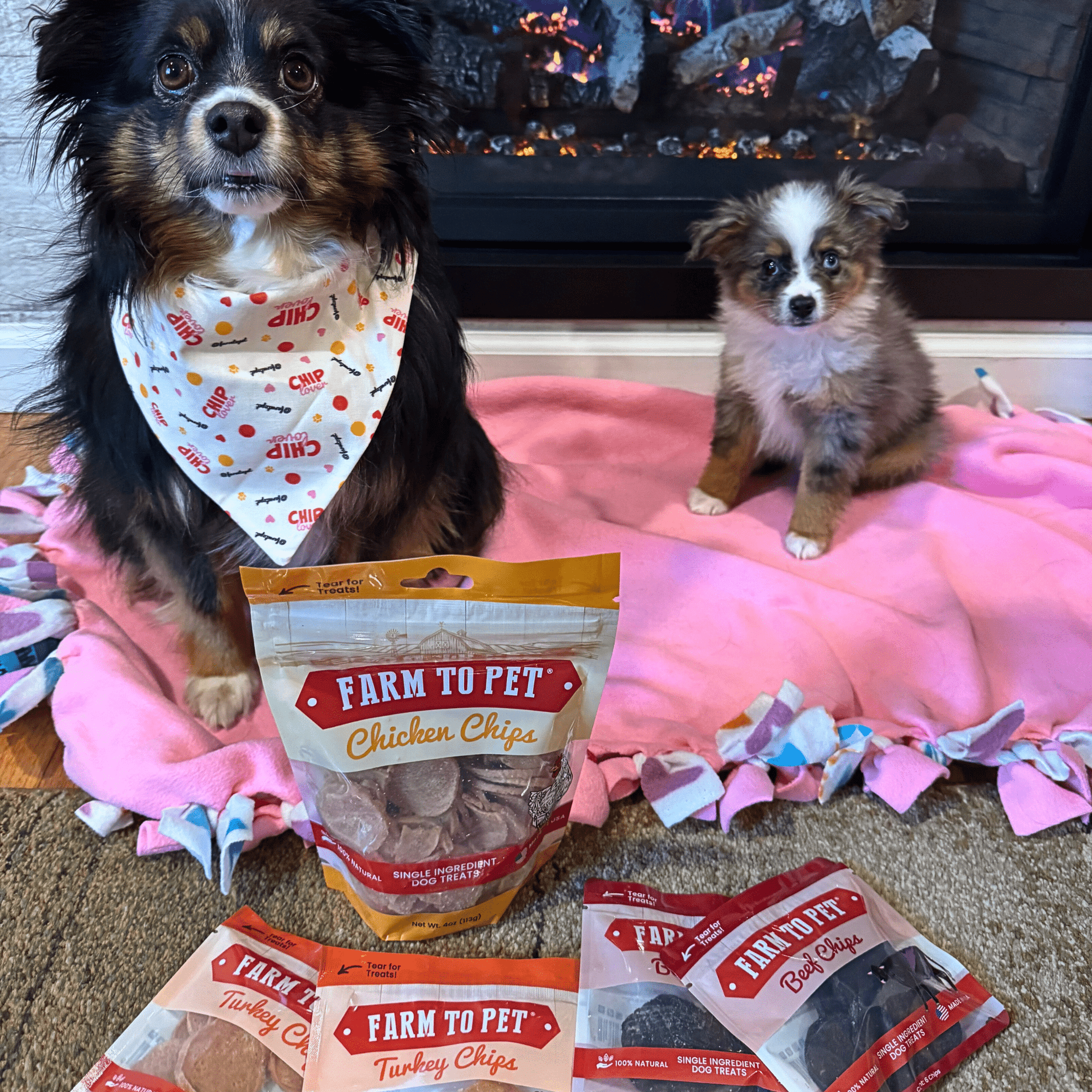 Farm To Pet Puppy Packs n Snacks Dog Treat Starter Pack