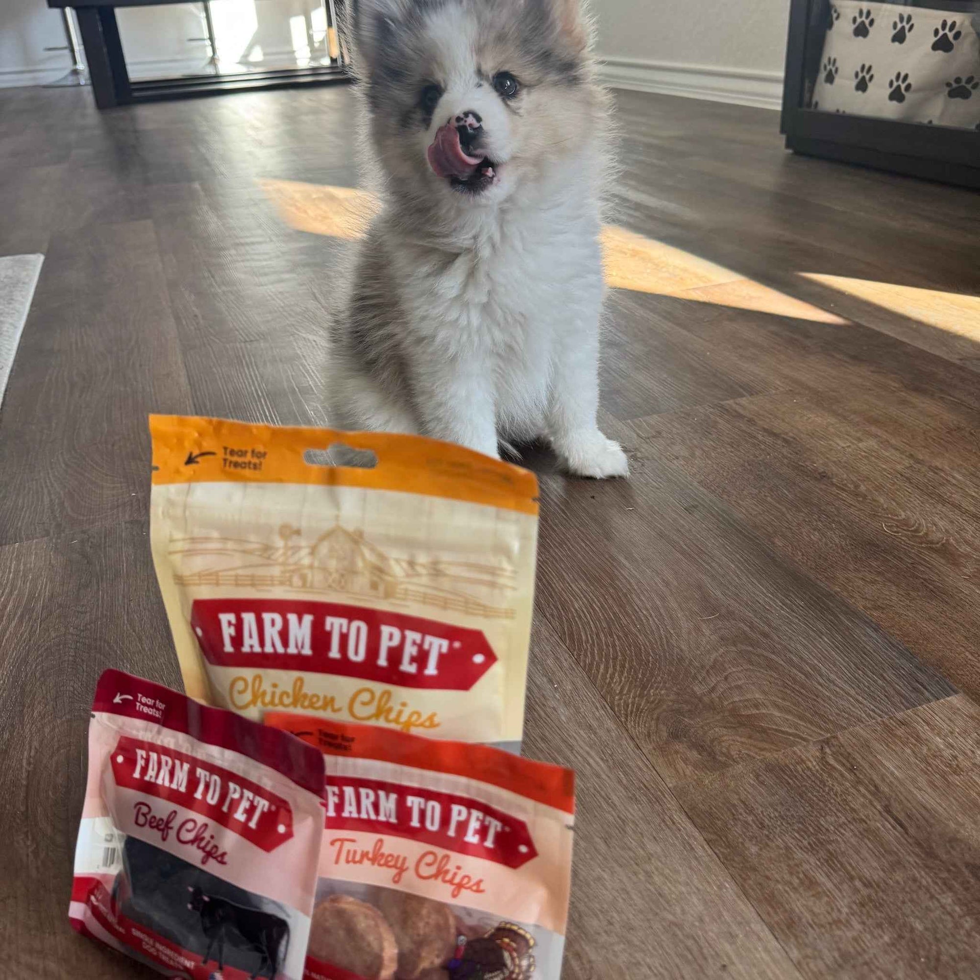 Farm To Pet Puppy Packs n Snacks Dog Treat Starter Pack