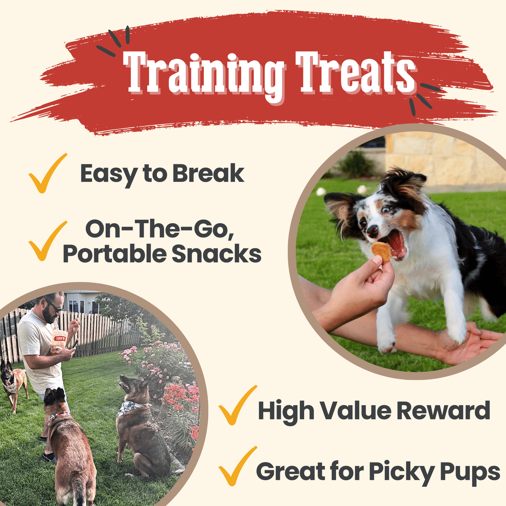 Farm To Pet Chicken Chips Dog Treats
