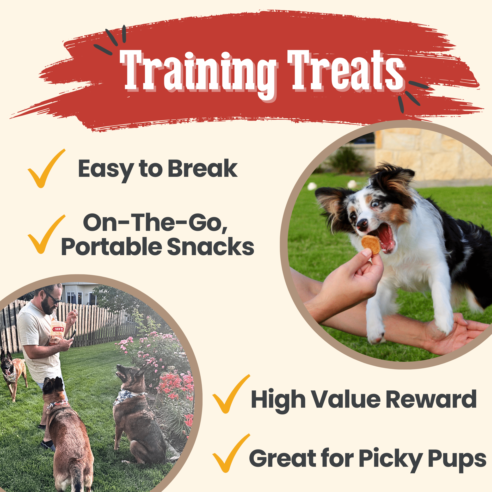 Farm To Pet Chicken Chips Dog Treats