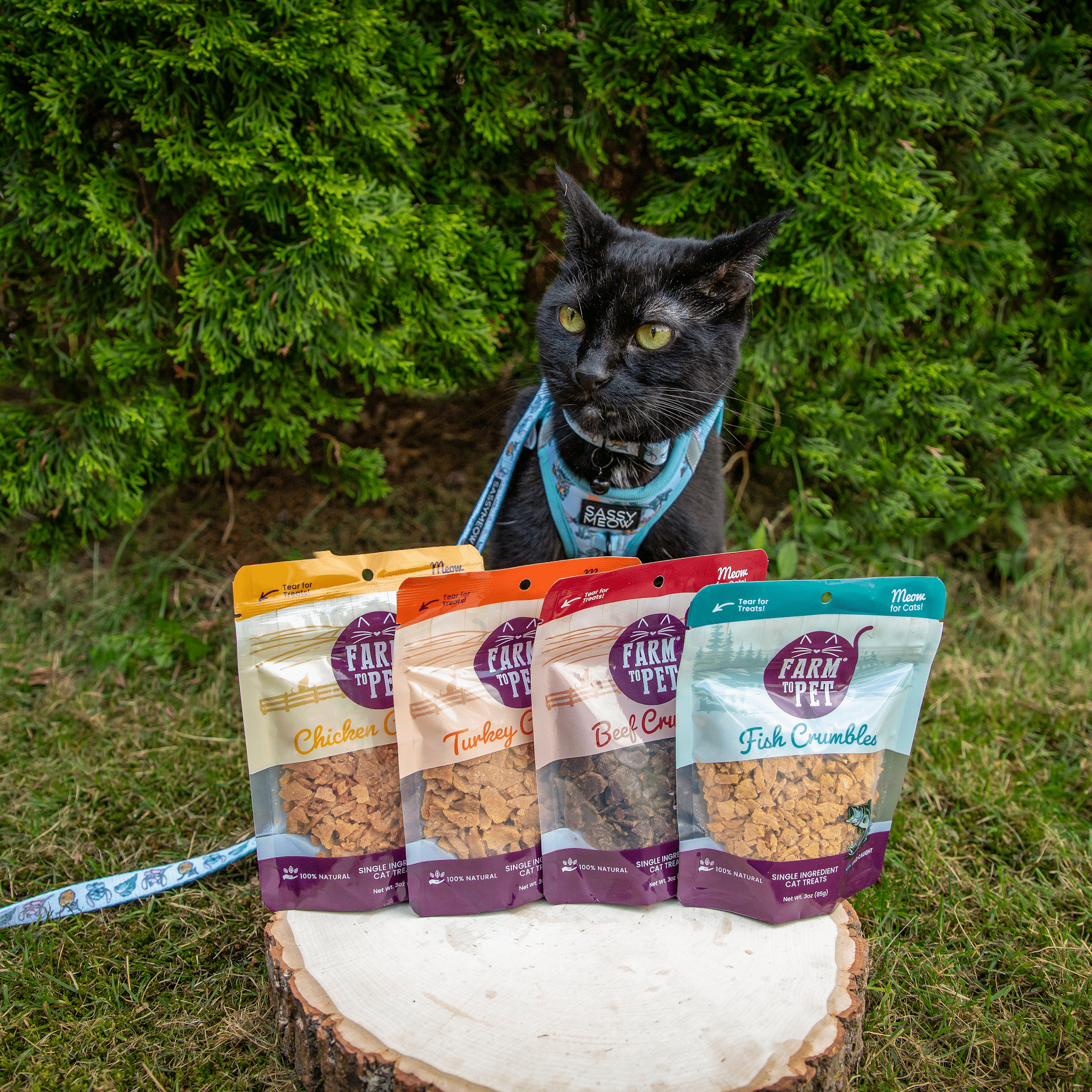 Farm To Pet Beef Crumbles Cat Treats