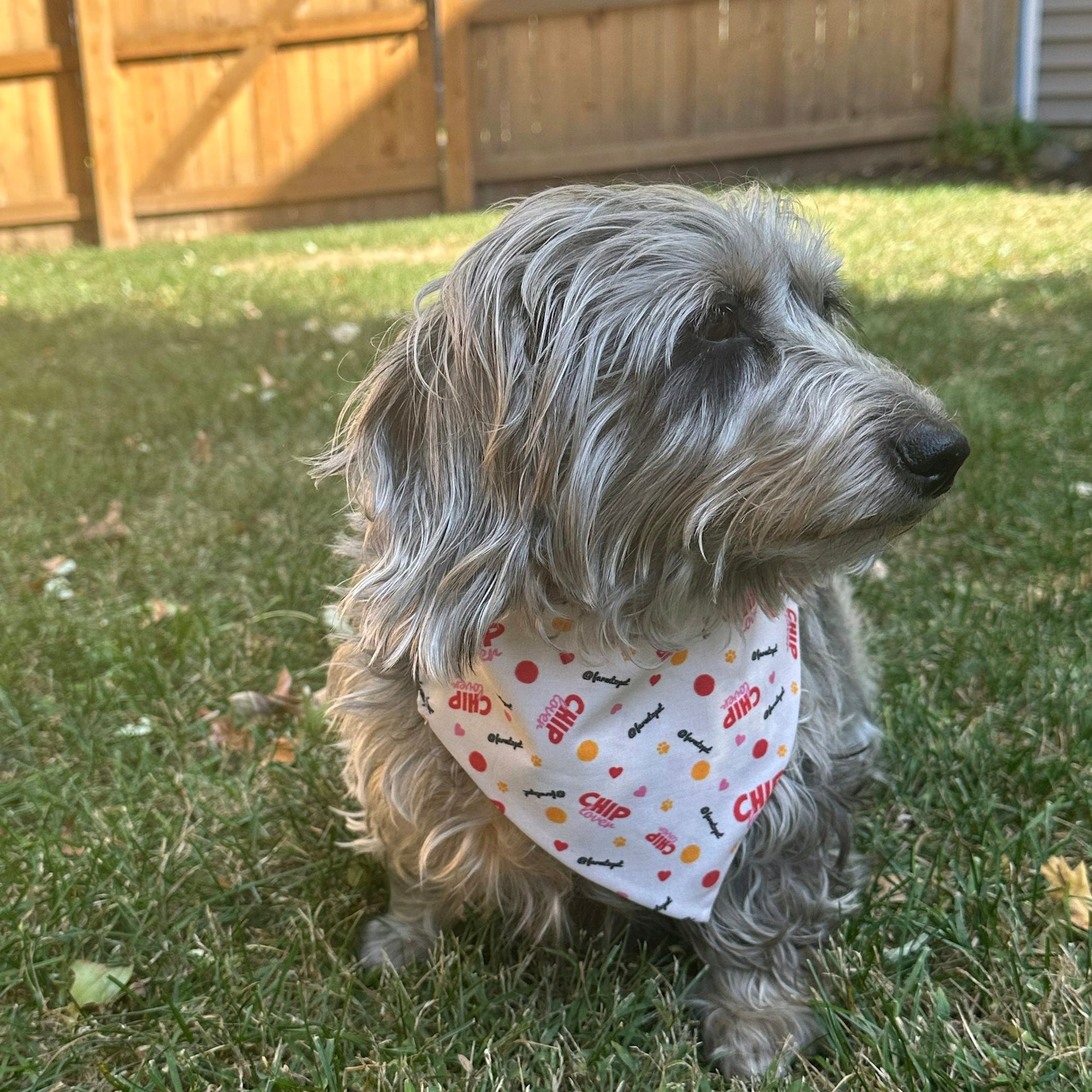 Farm To Pet Tie-On Dog and Cat Bandana