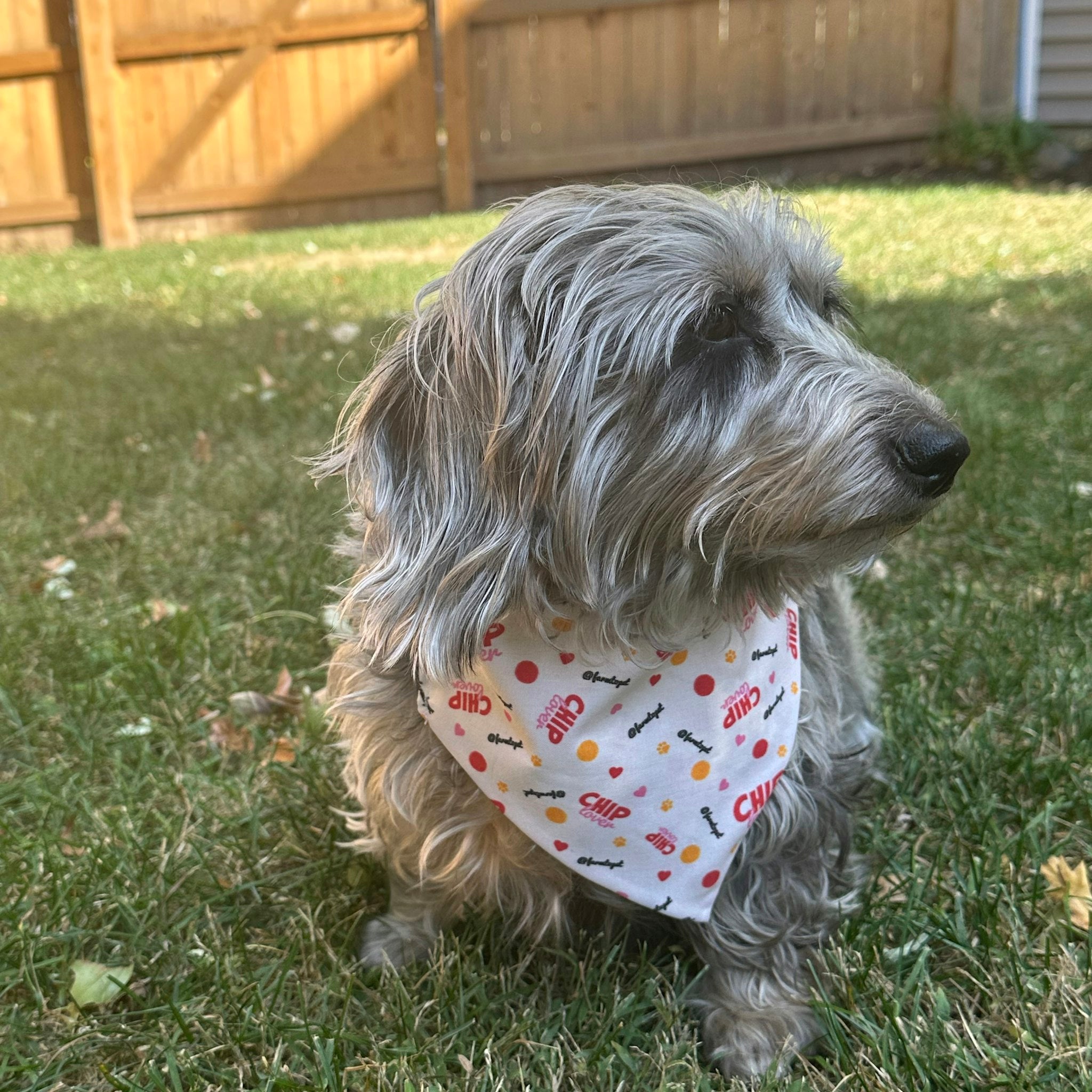 Farm To Pet Tie-On Dog and Cat Bandana