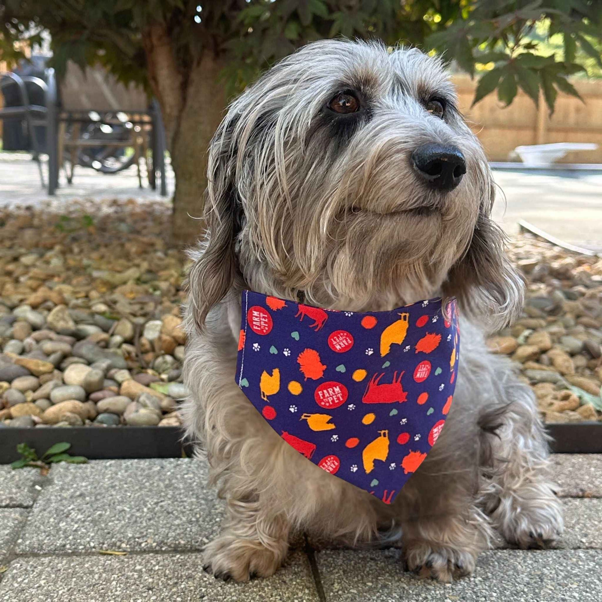 Farm To Pet Tie-On Dog and Cat Bandana