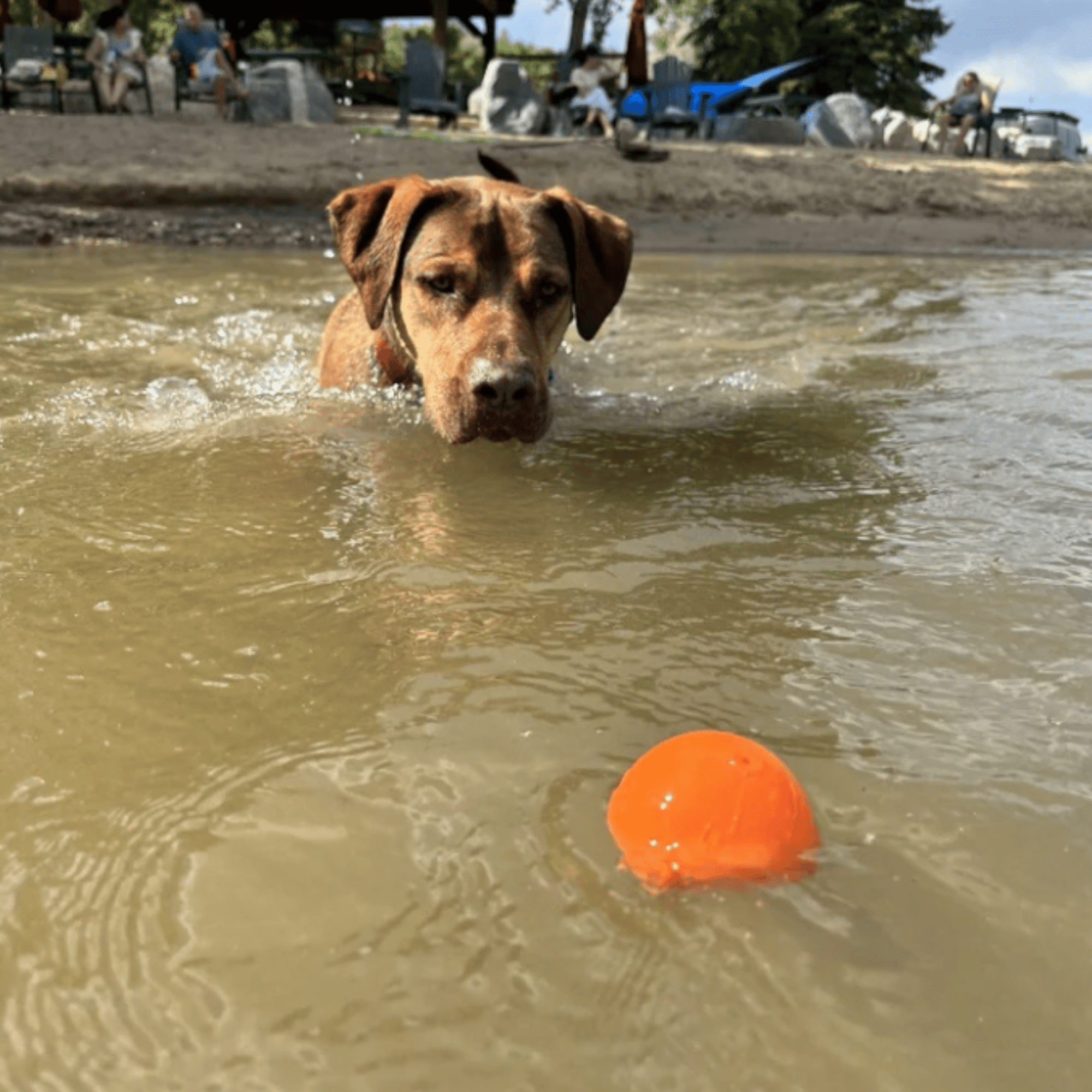 Farm To Pet Dog Fetch Balls