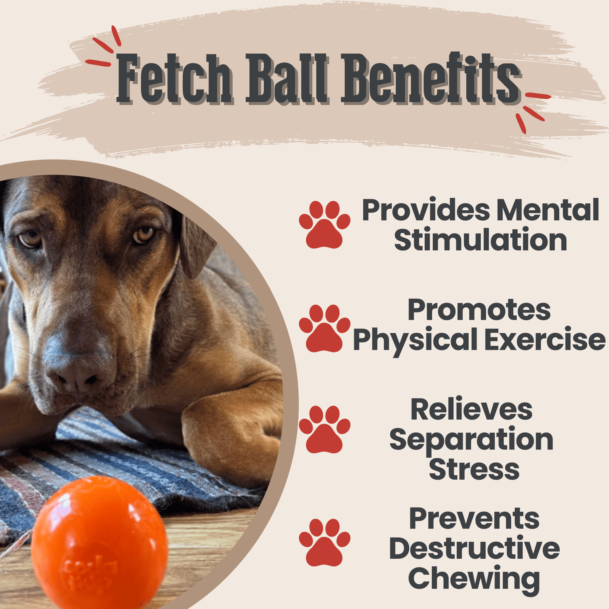 Farm To Pet Dog Fetch Balls