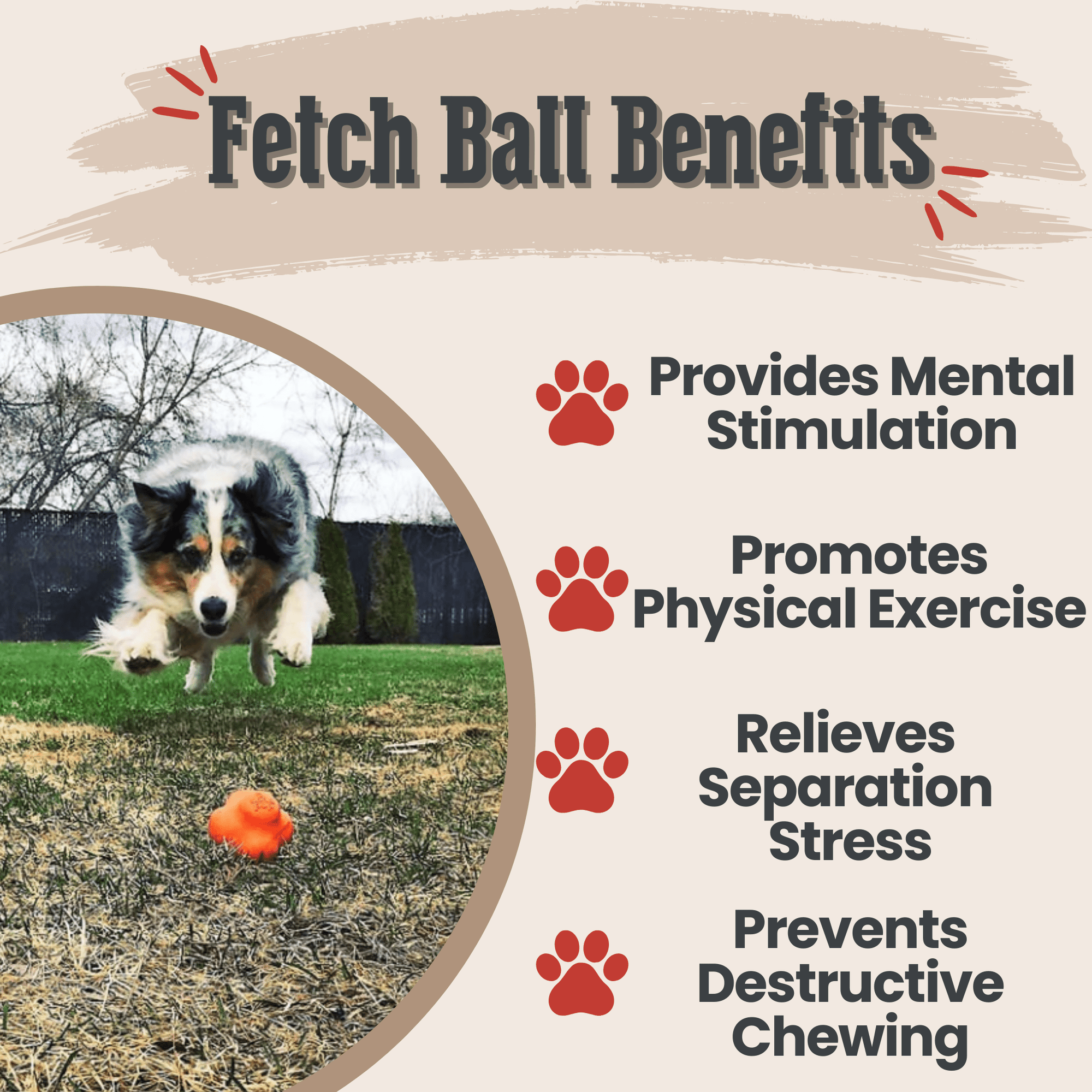 Farm To Pet Dog Fetch Balls