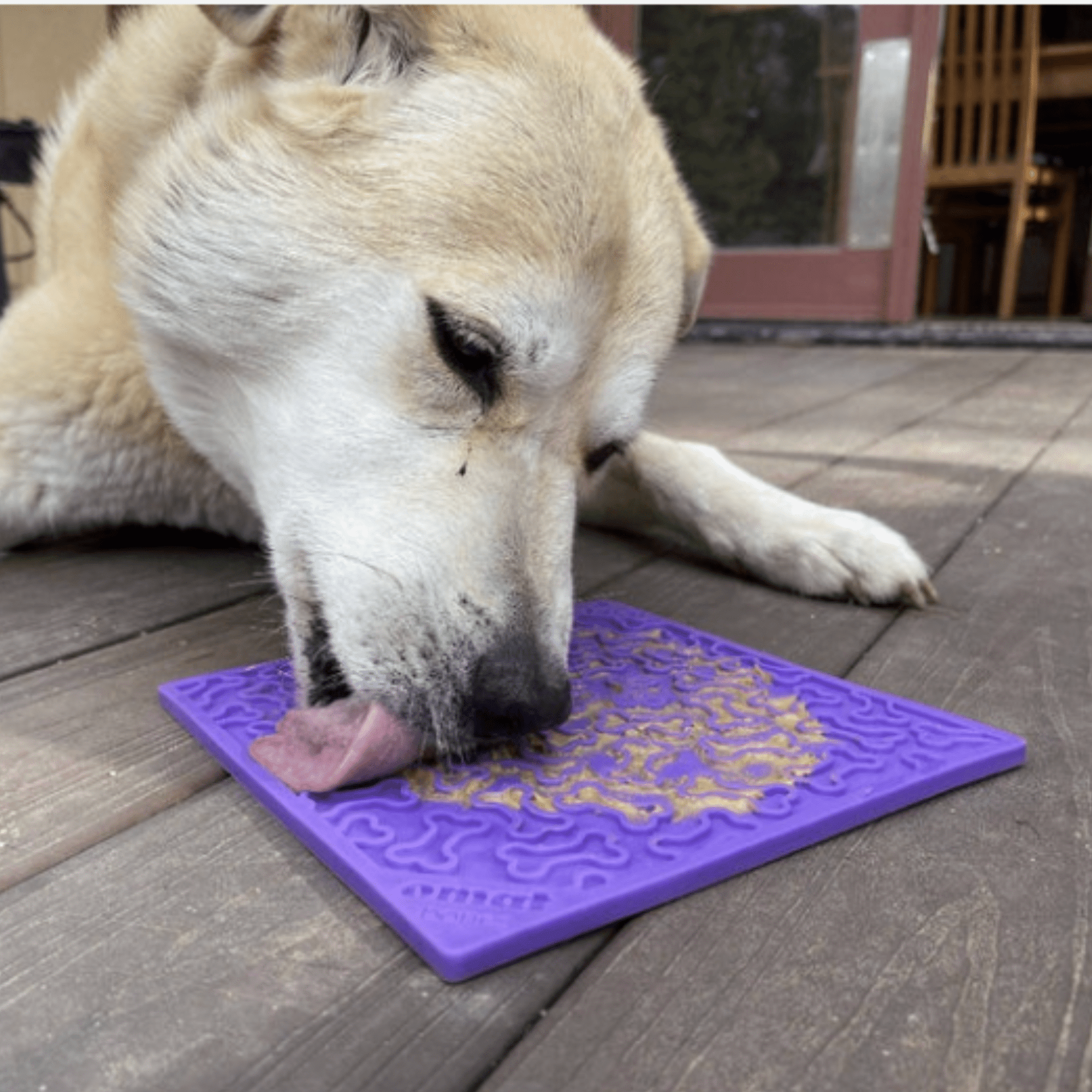 Farm To Pet Dog Lick Mats