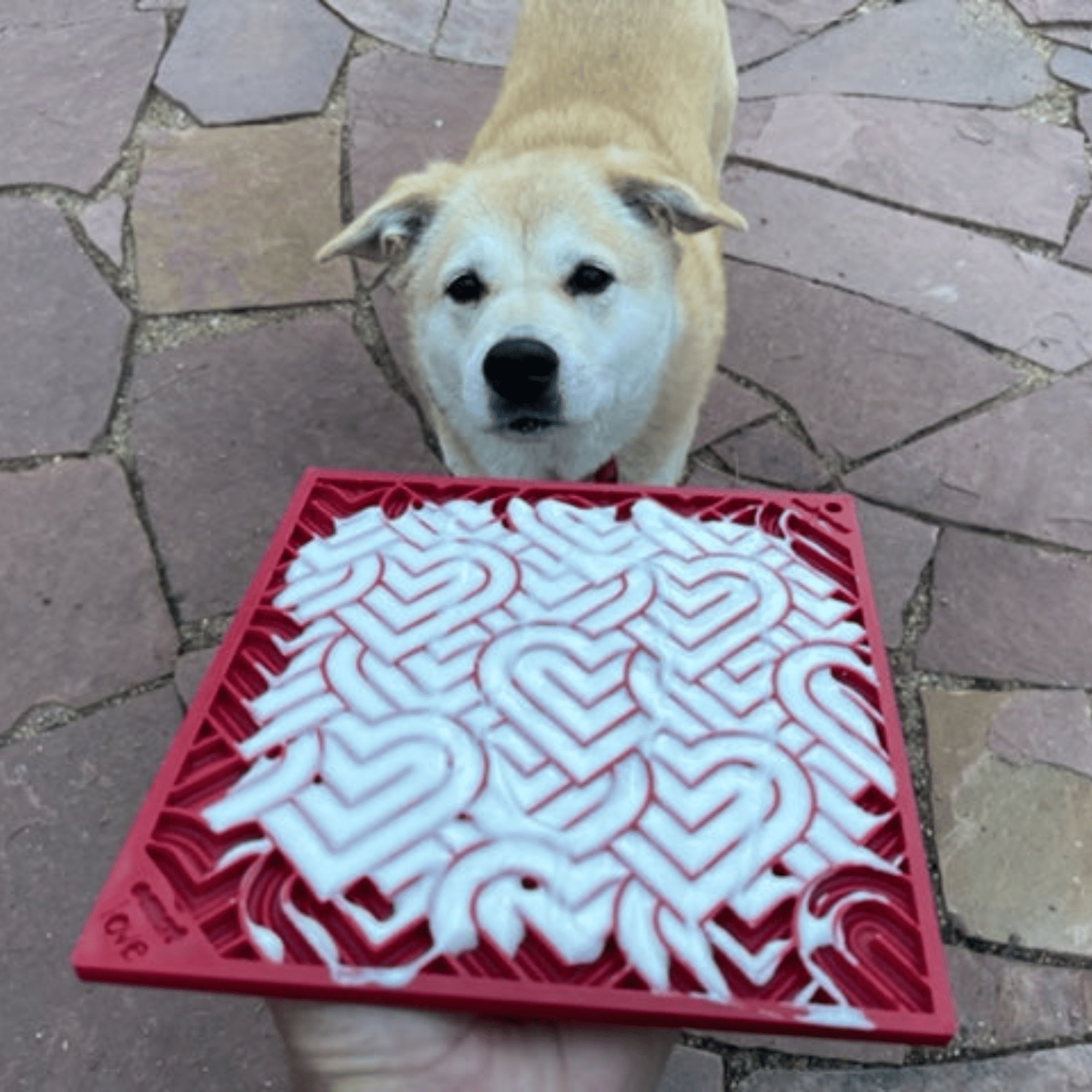 Farm To Pet Dog Lick Mats