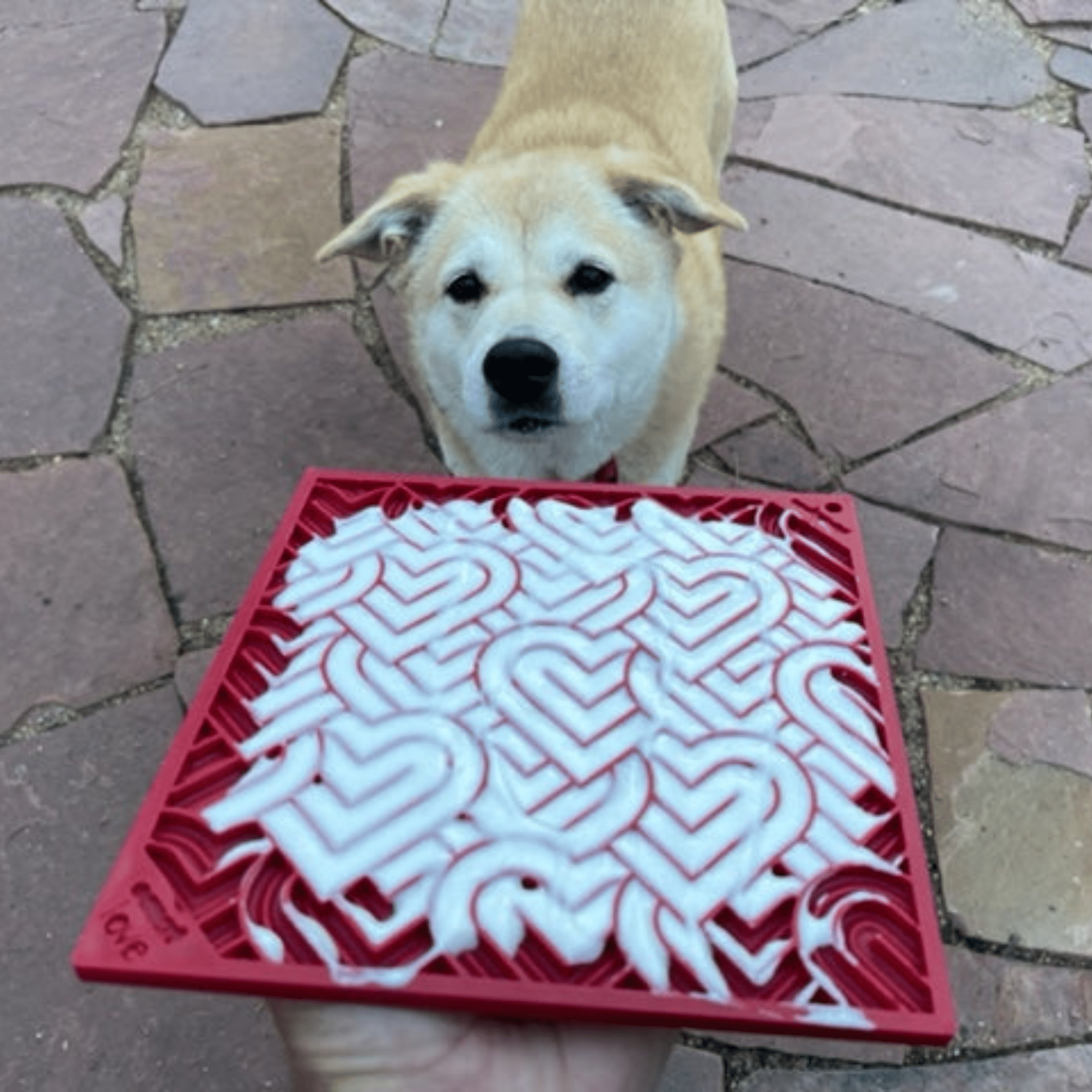 Farm To Pet Dog Lick Mats